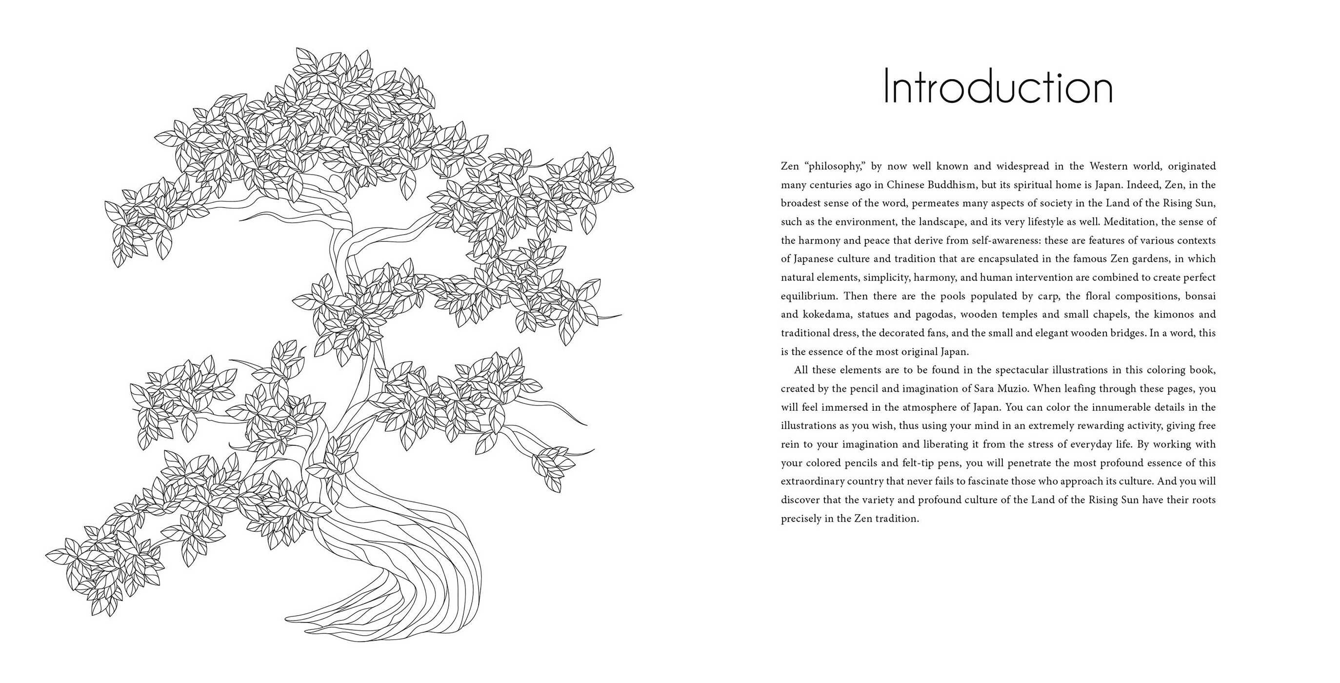 Zen Harmony Coloring Book