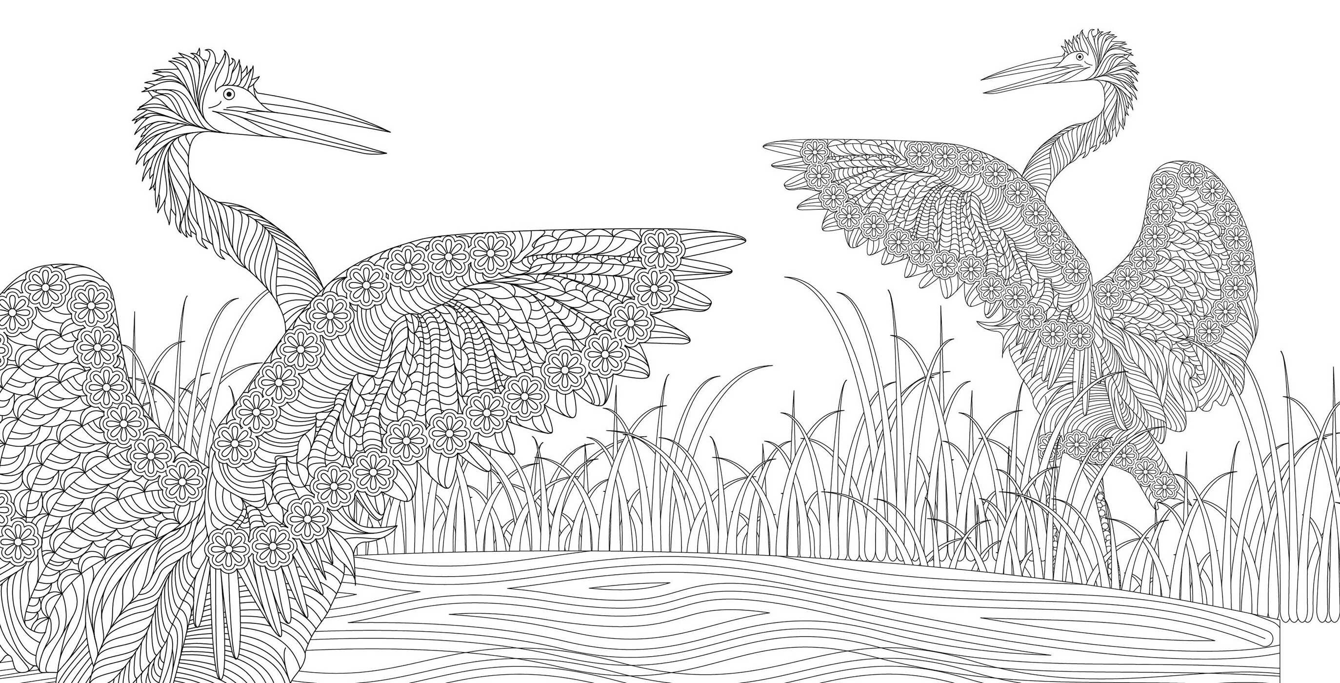 Zen Harmony Coloring Book