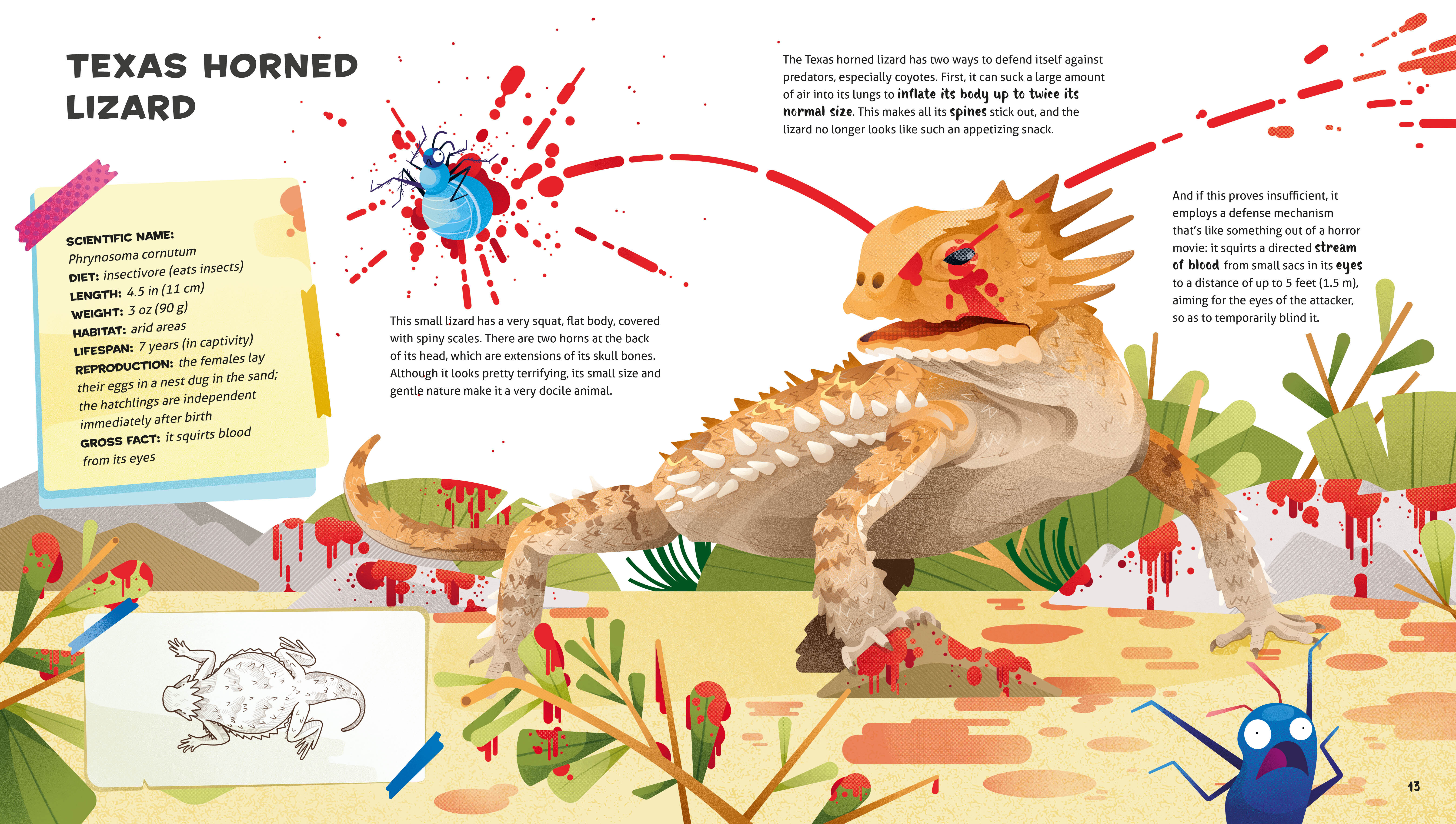 Weird and Wonderful Gross Animals