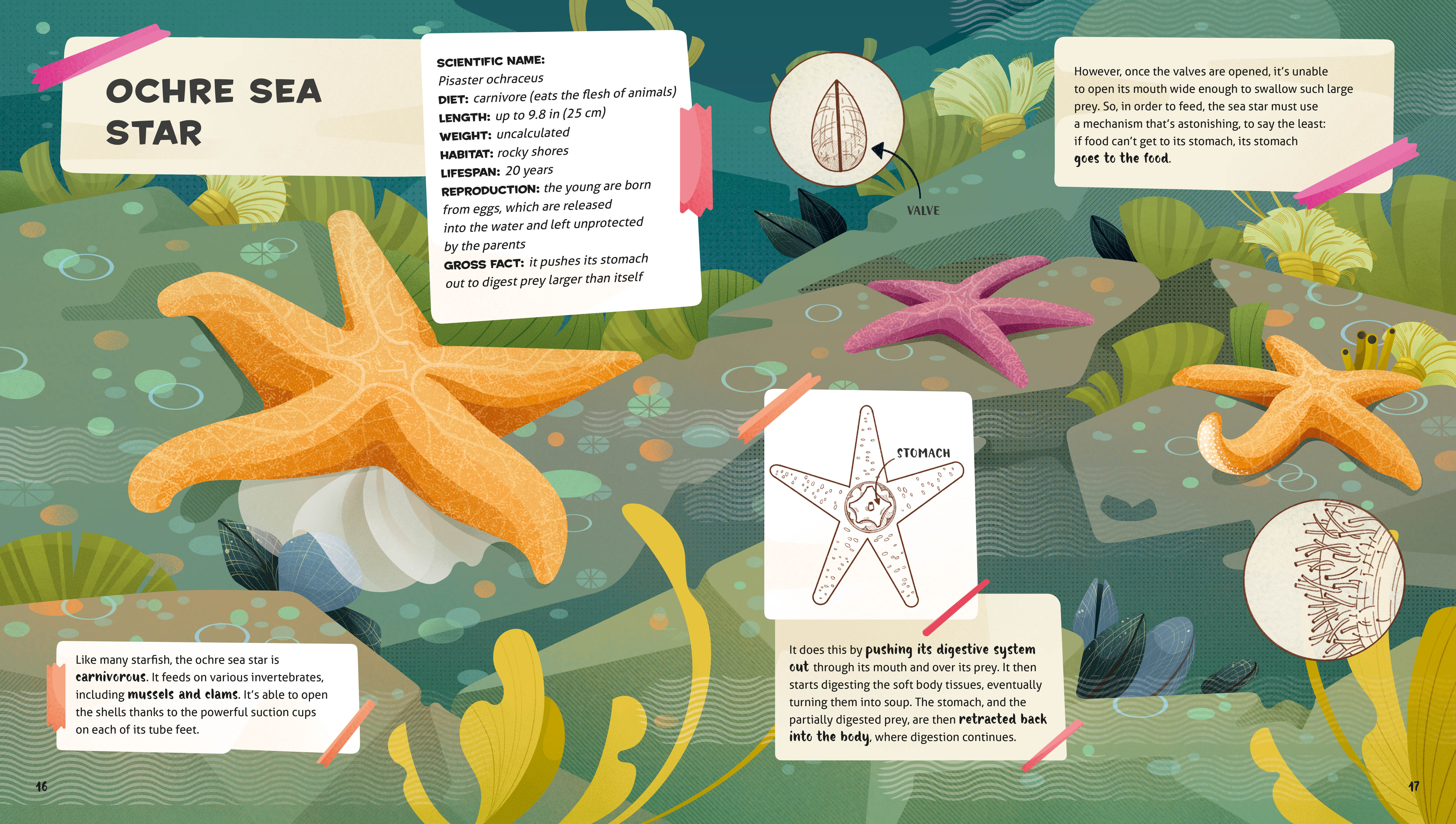 Weird and Wonderful Gross Animals