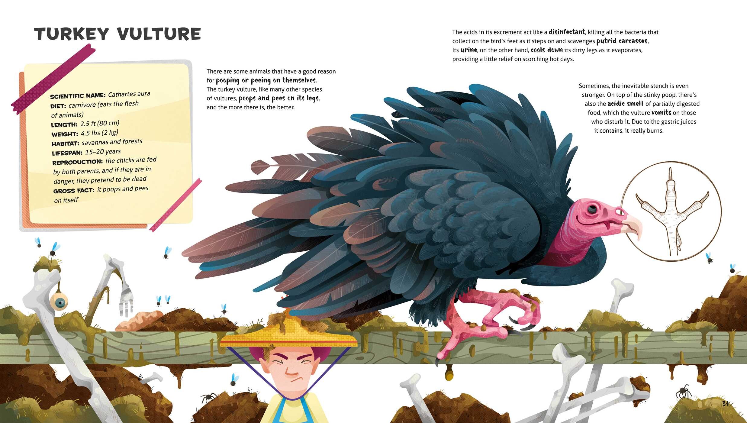 Weird and Wonderful Gross Animals