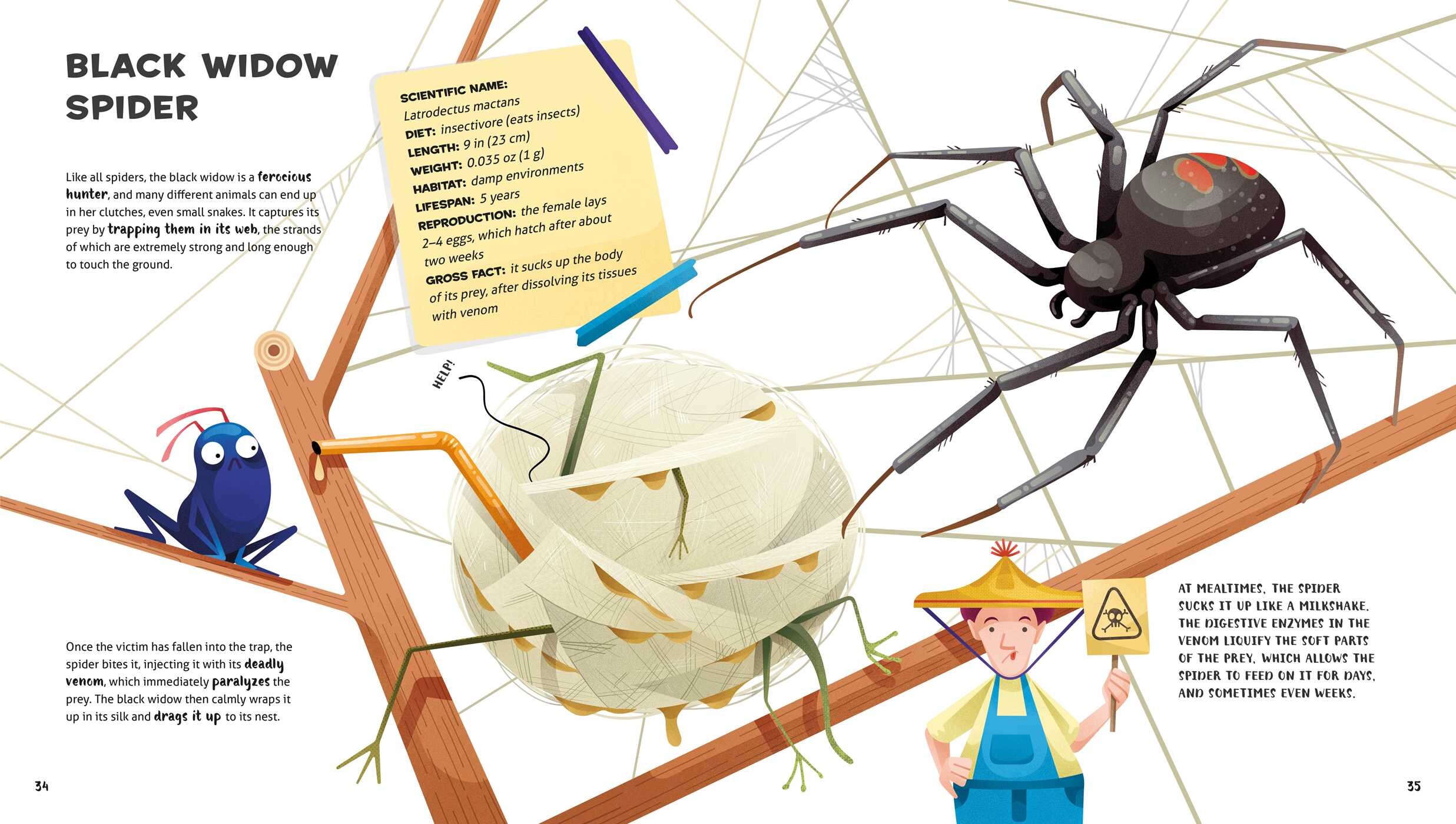 Weird and Wonderful Gross Animals