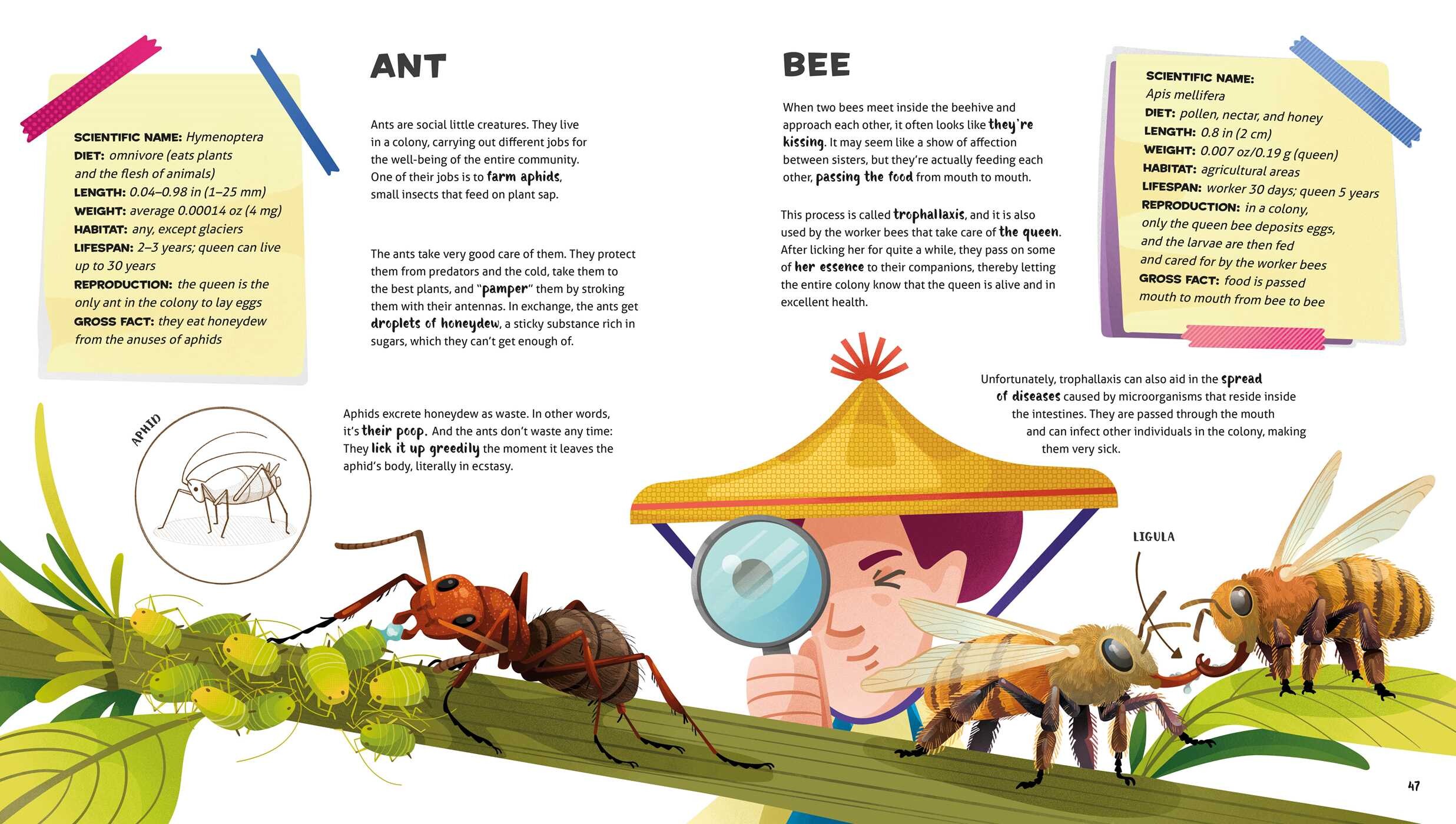 Weird and Wonderful Gross Animals