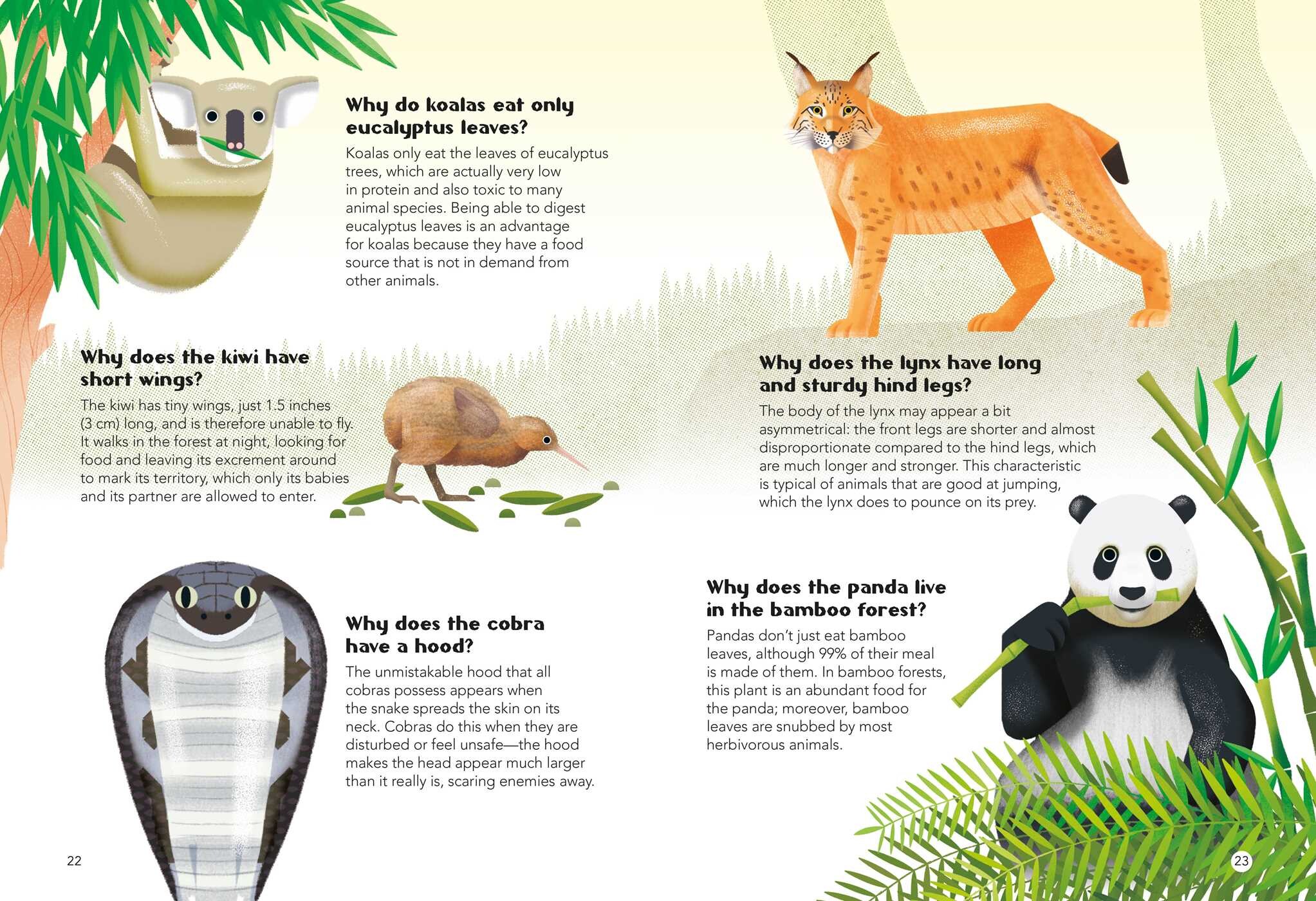 200 Q&As About Animals
