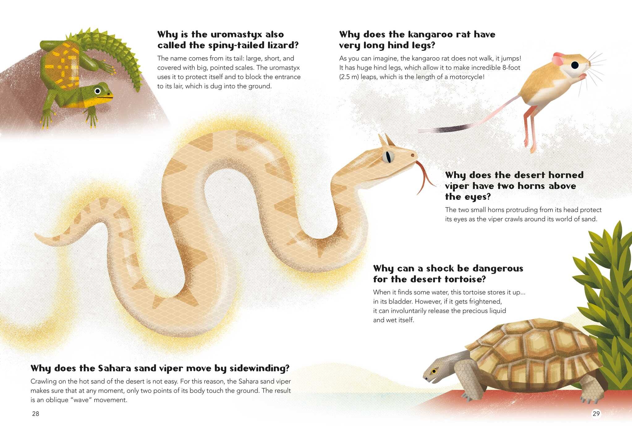 200 Q&As About Animals