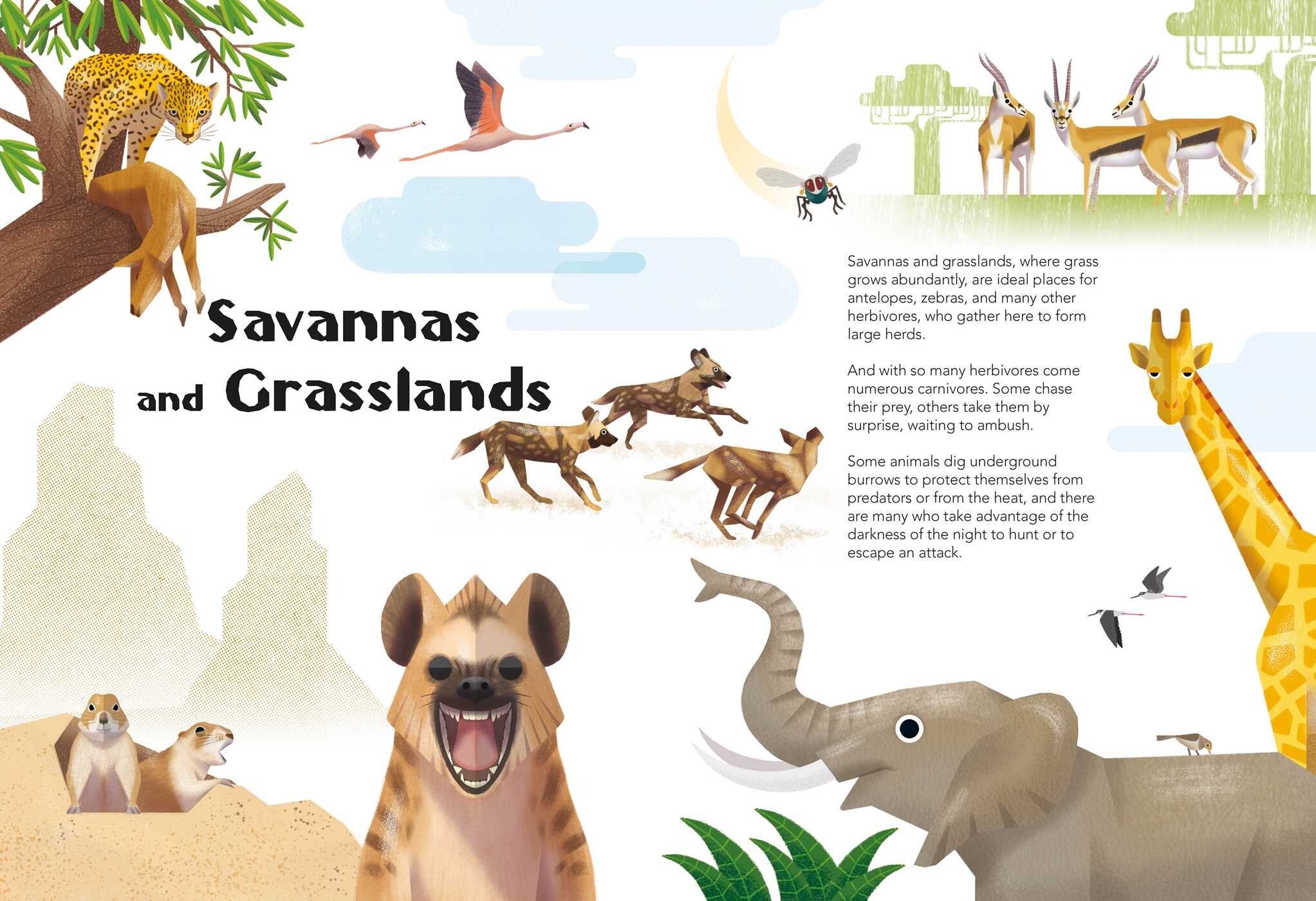 200 Q&As About Animals