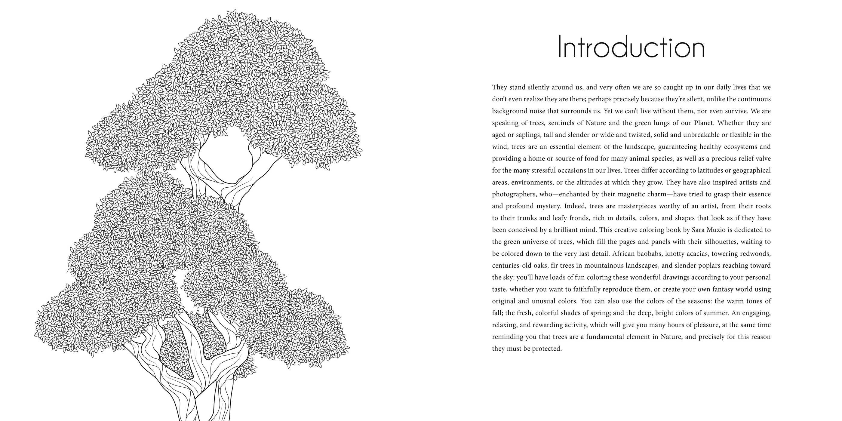 Splendor of Trees Coloring Book
