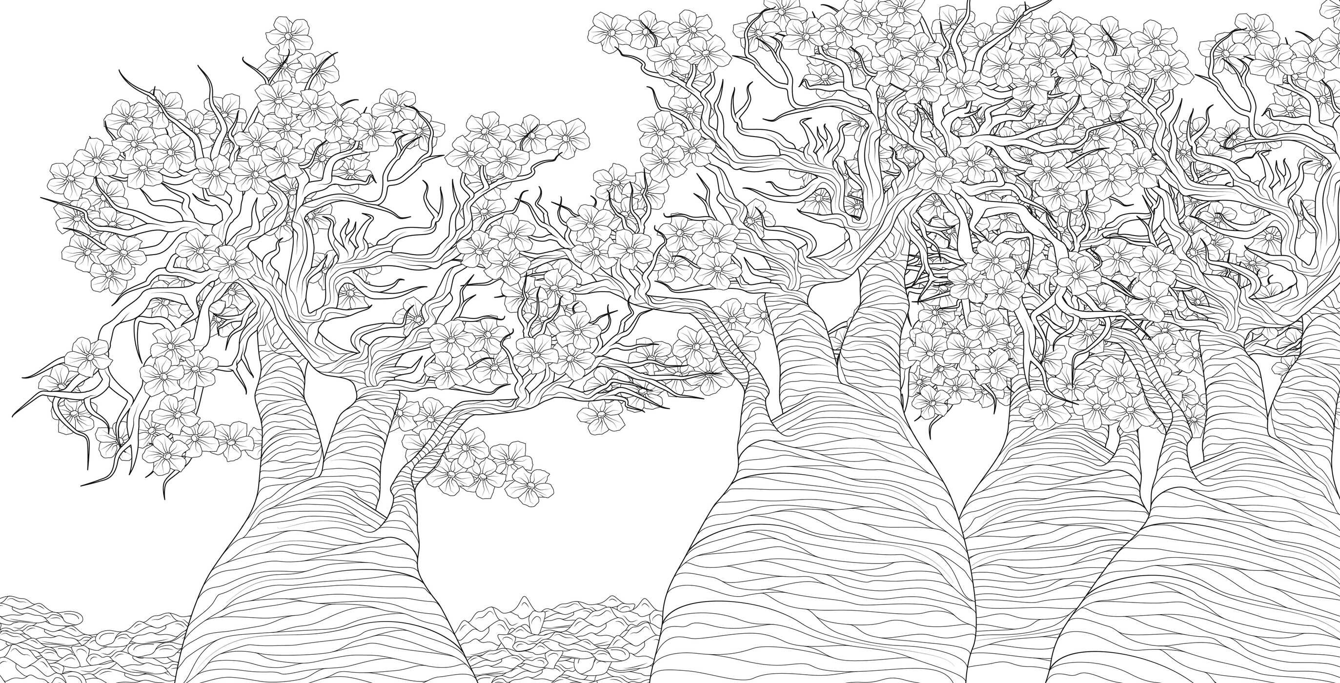 Splendor of Trees Coloring Book