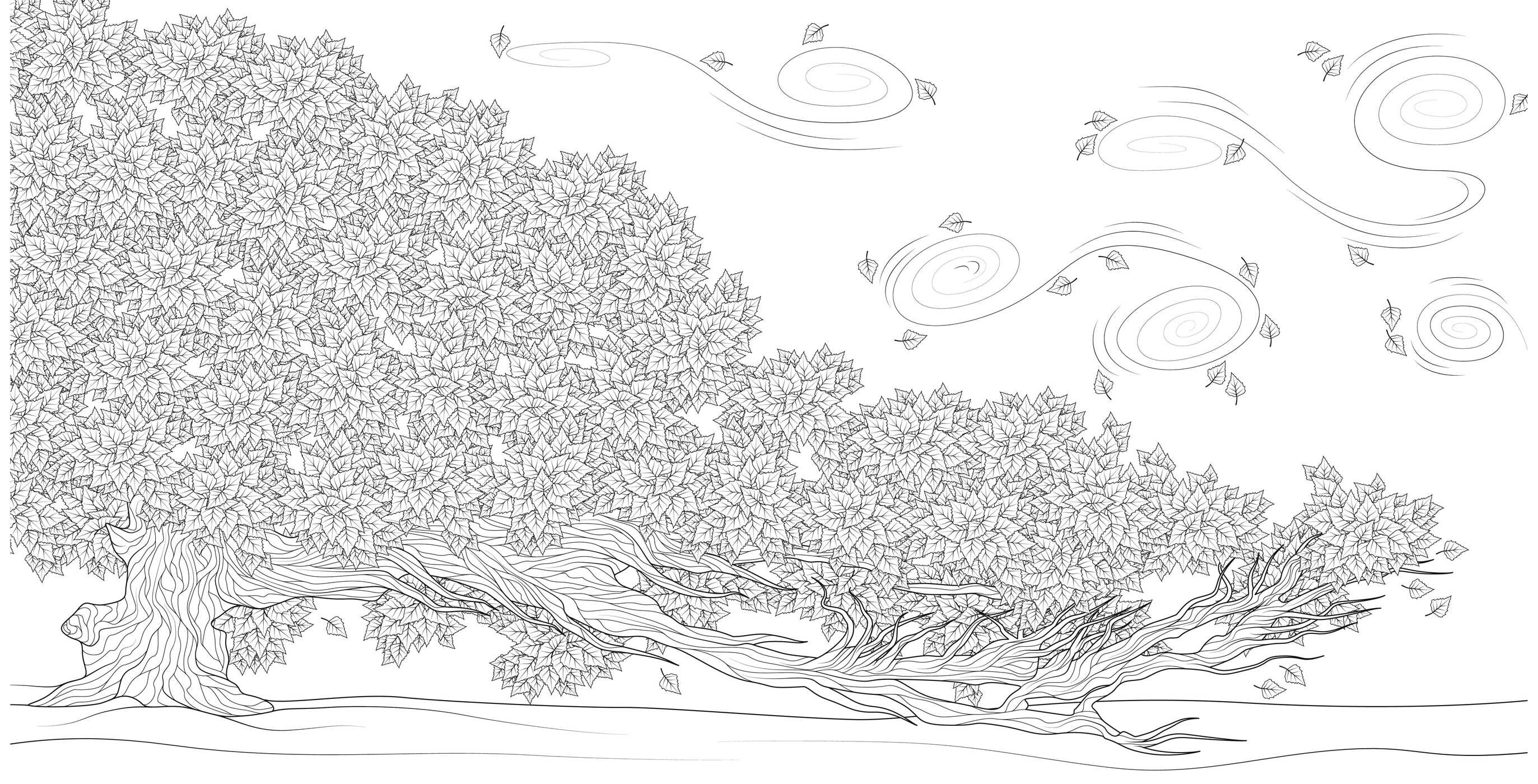 Splendor of Trees Coloring Book