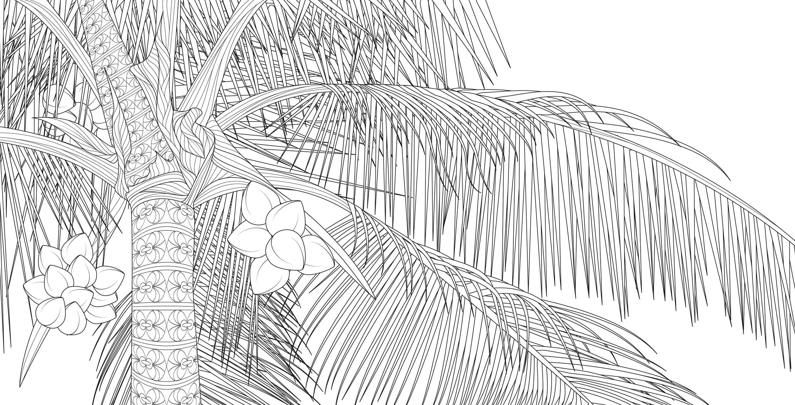 Splendor of Trees Coloring Book