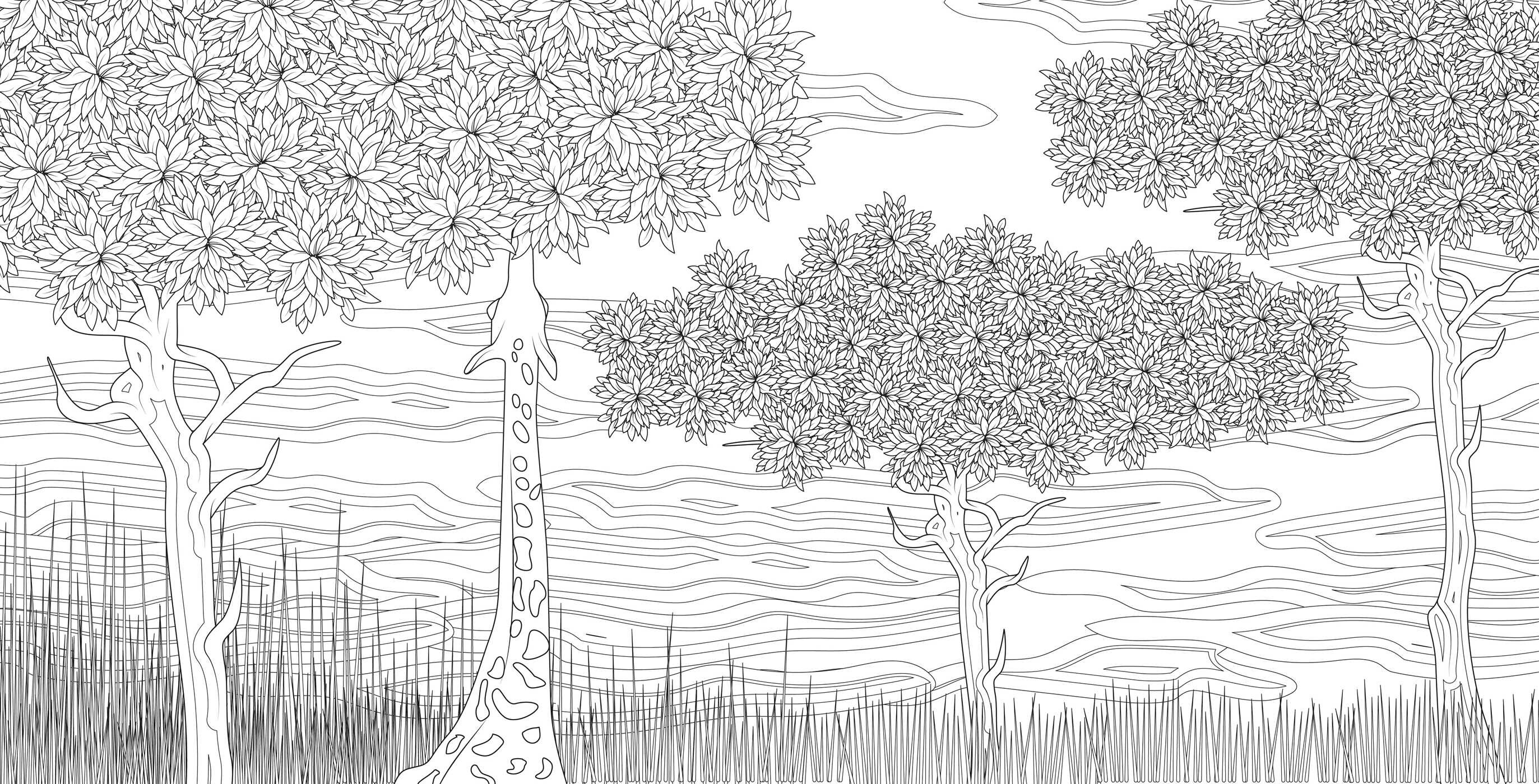 Splendor of Trees Coloring Book