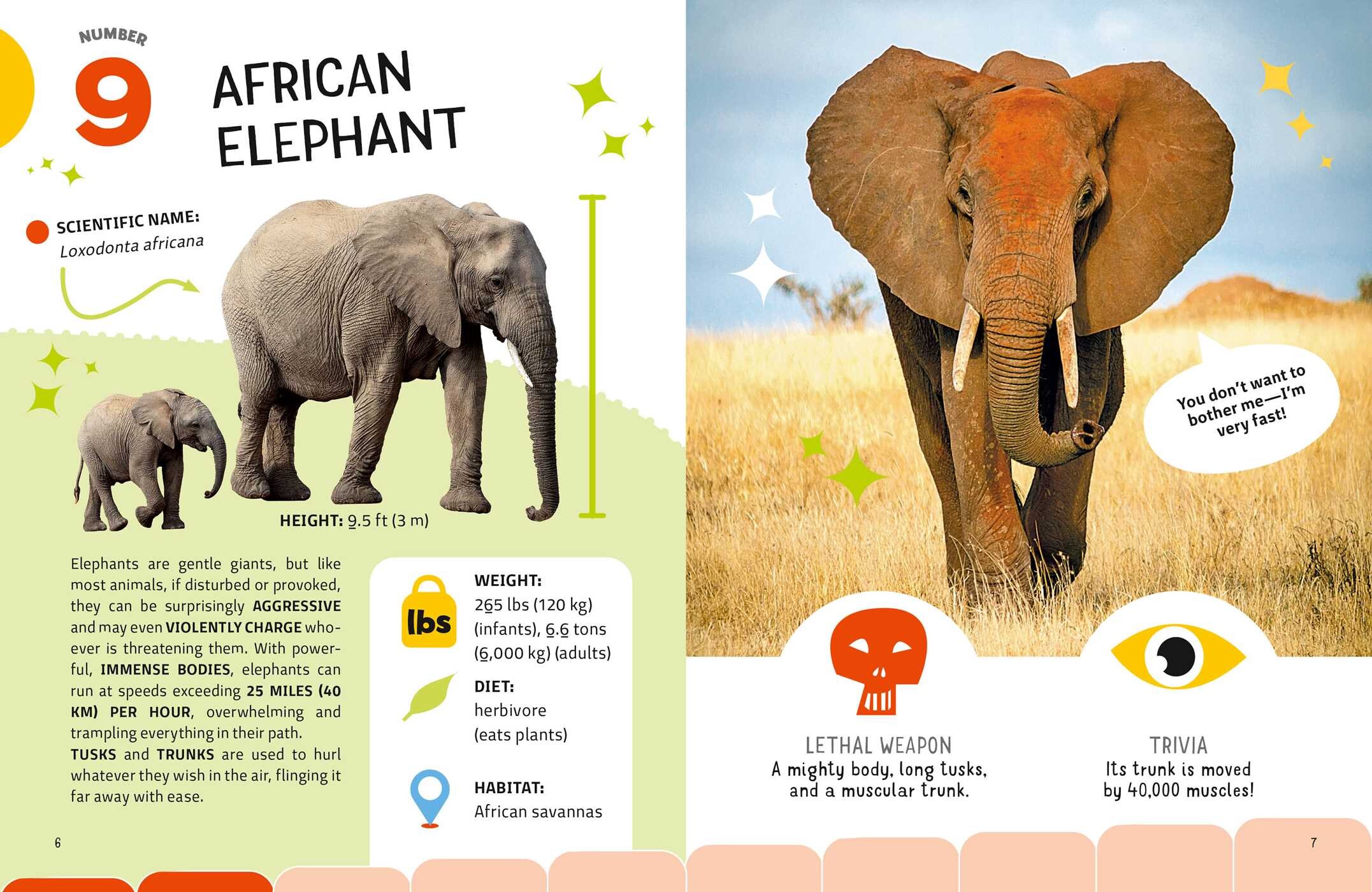 Most Lethal Animals