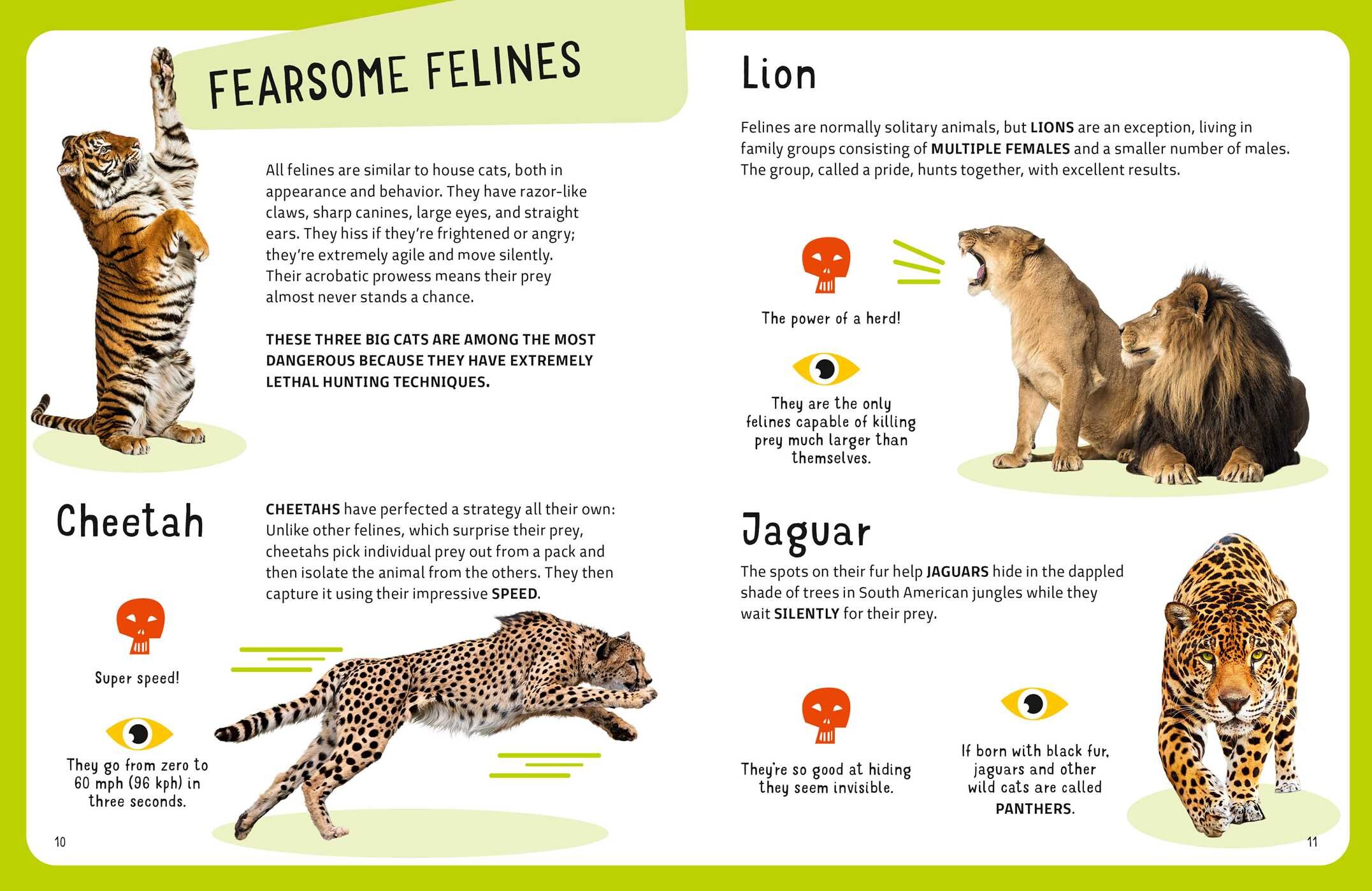 Most Lethal Animals
