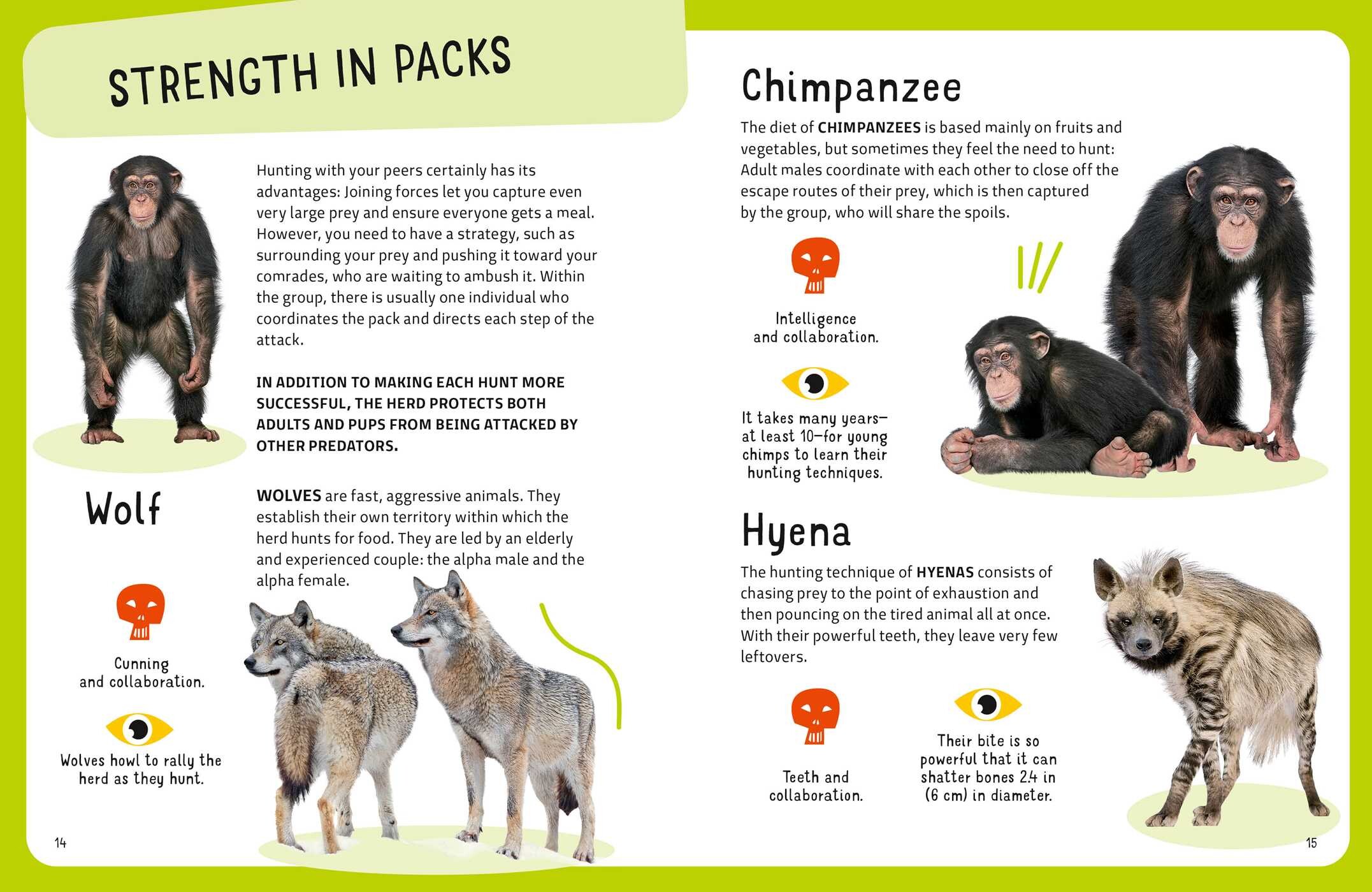 Most Lethal Animals