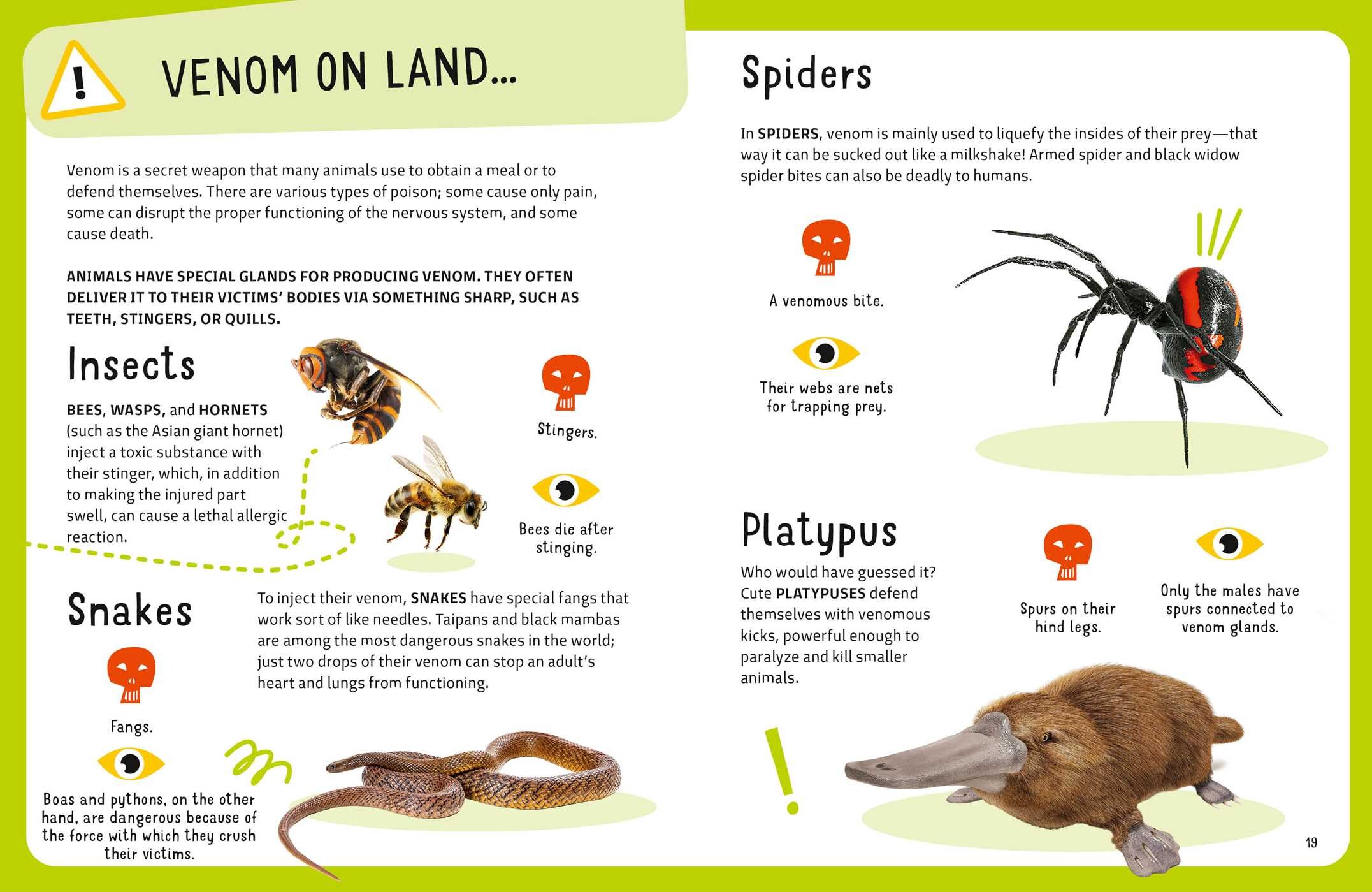 Most Lethal Animals