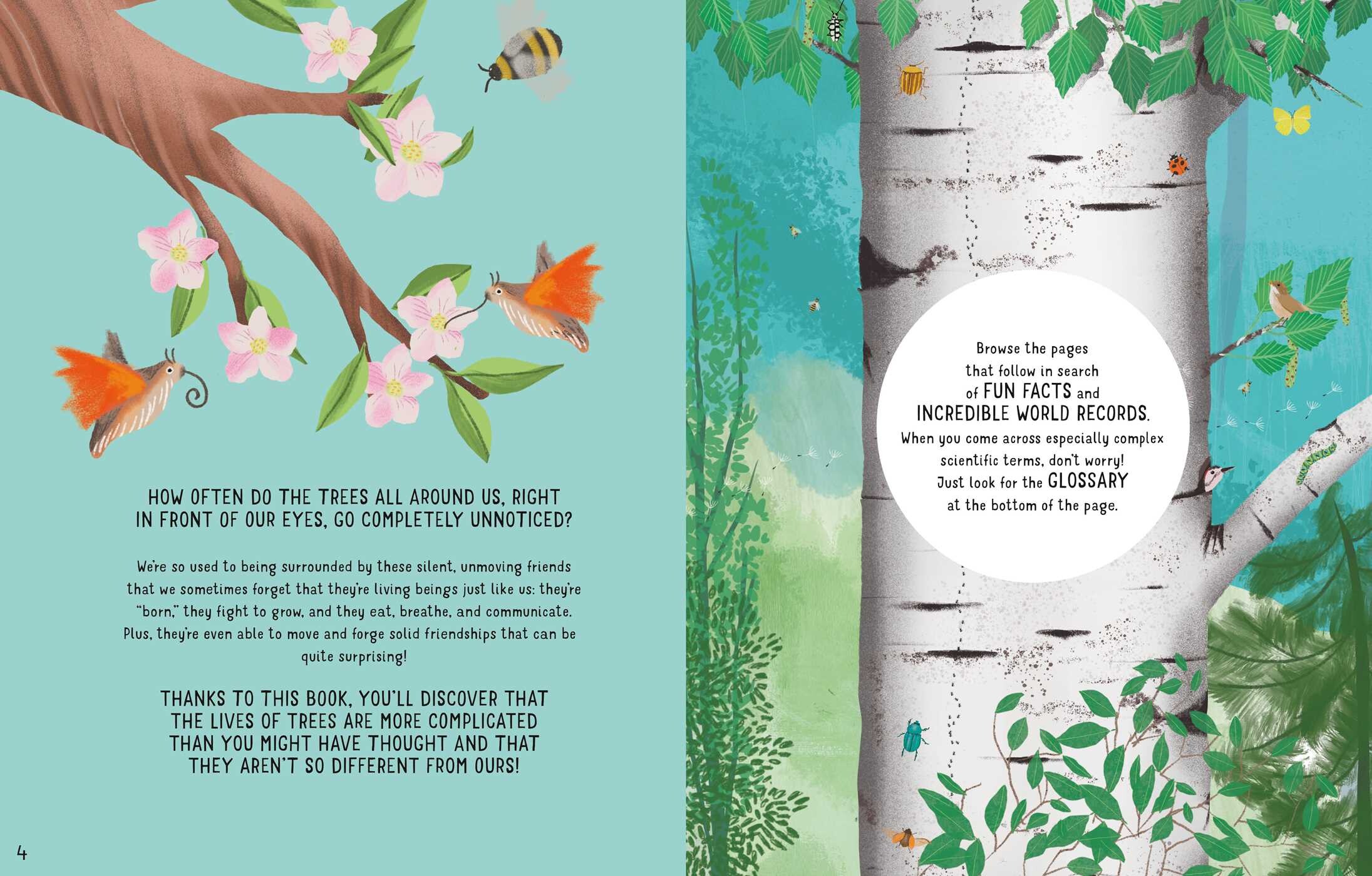 Secrets of Trees