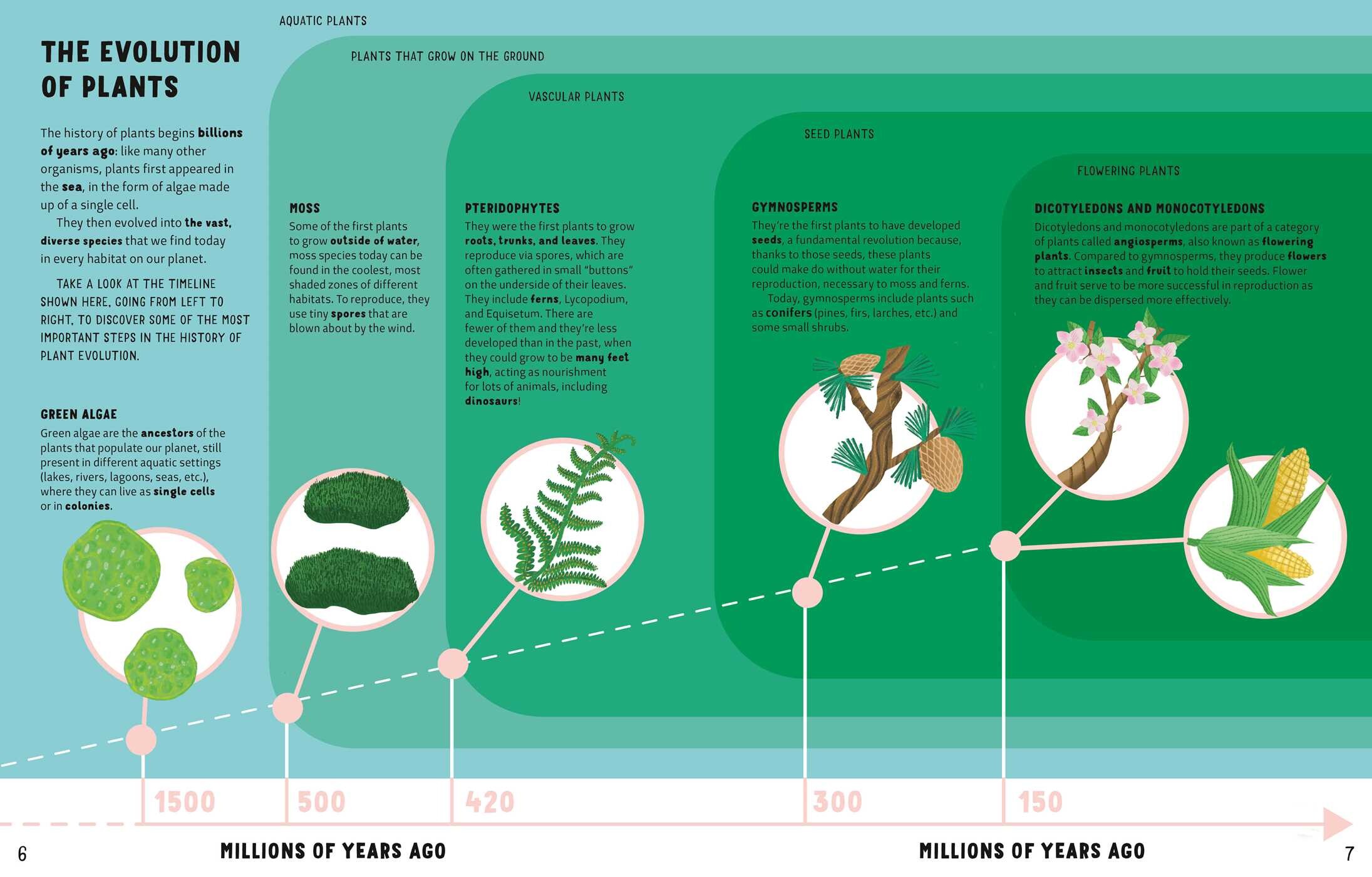 Secrets of Trees
