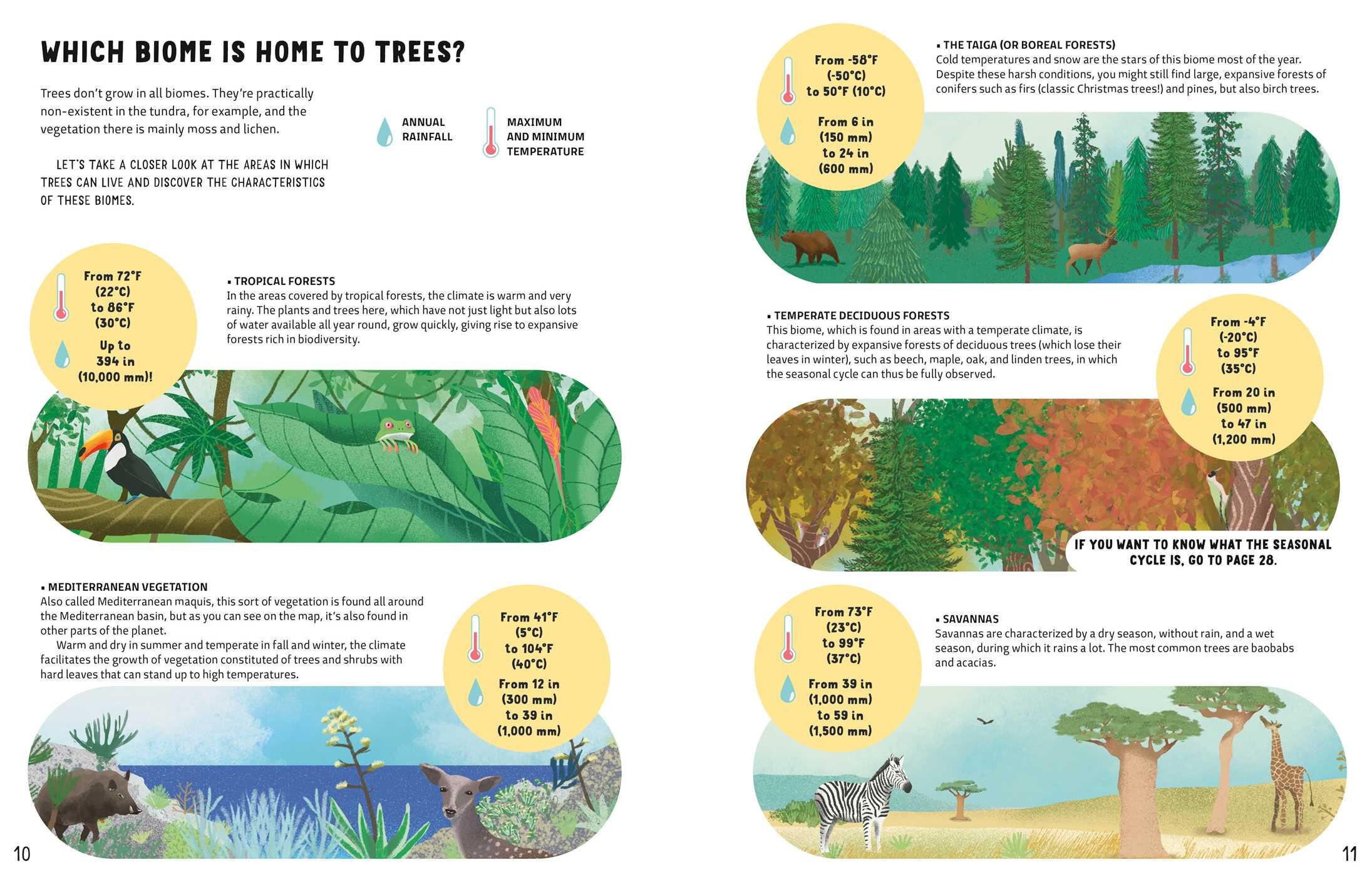 Secrets of Trees