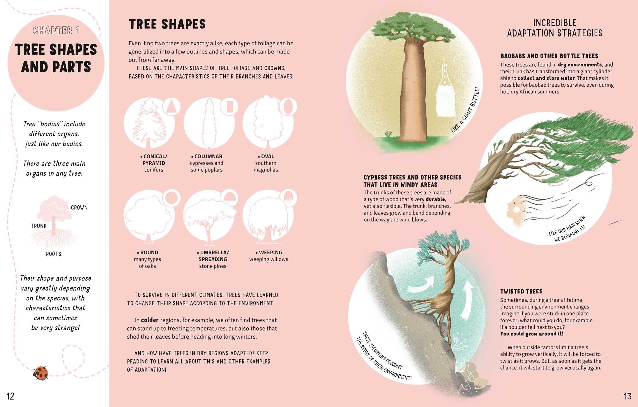 Secrets of Trees