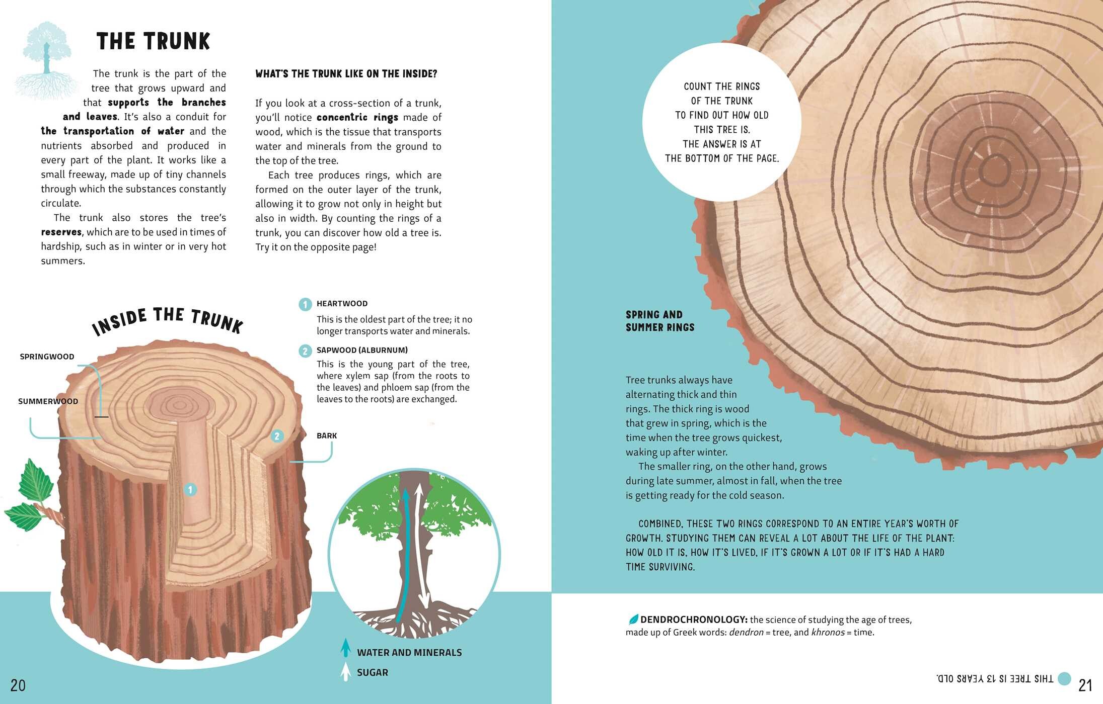 Secrets of Trees