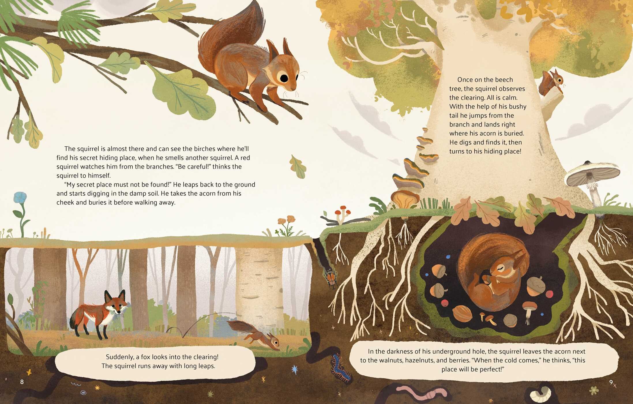 Little Stories from Nature