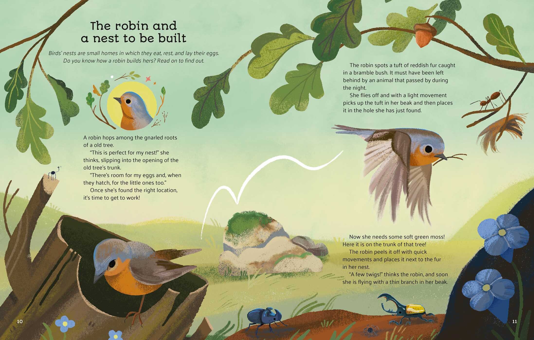 Little Stories from Nature