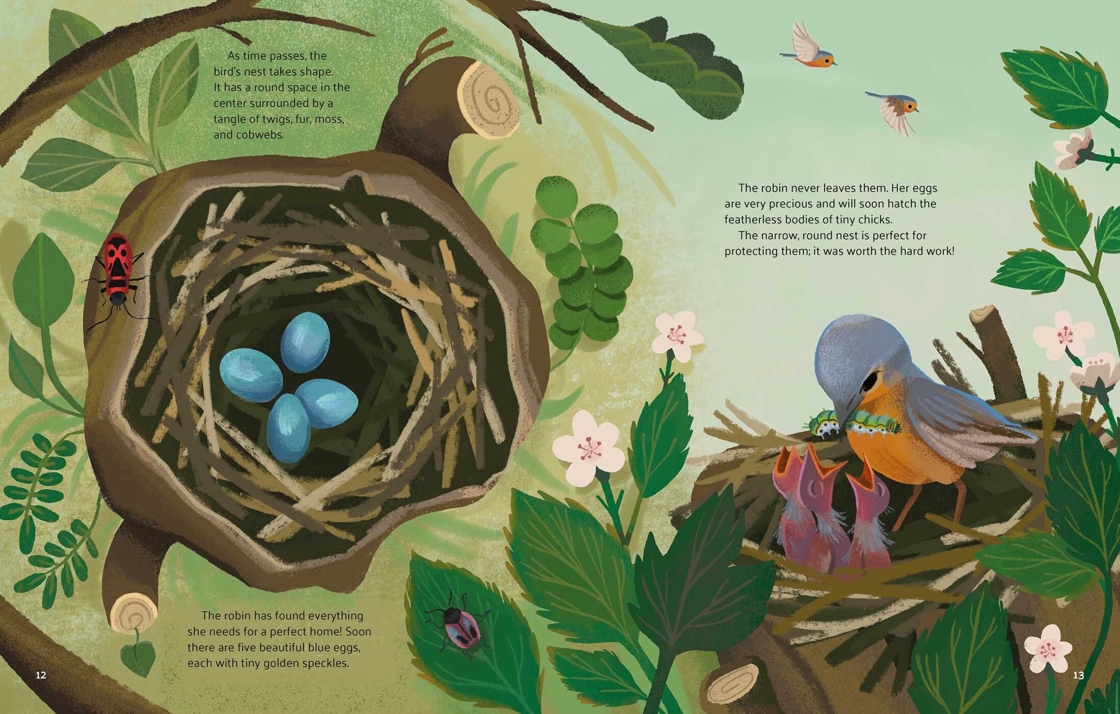 Little Stories from Nature
