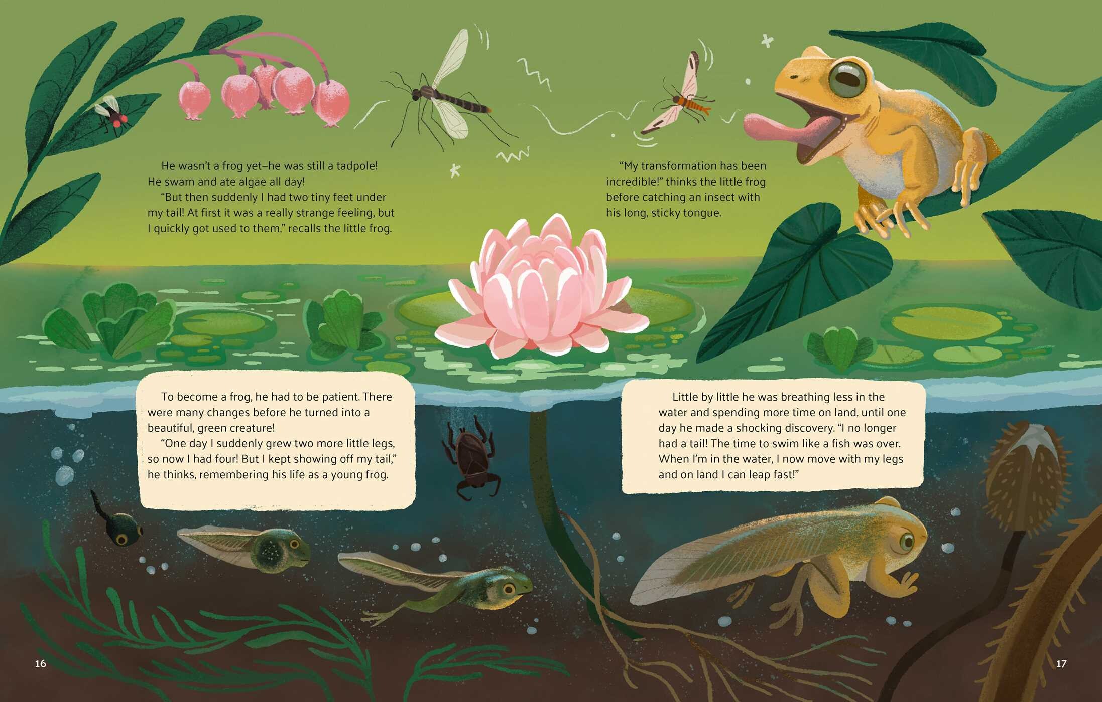 Little Stories from Nature