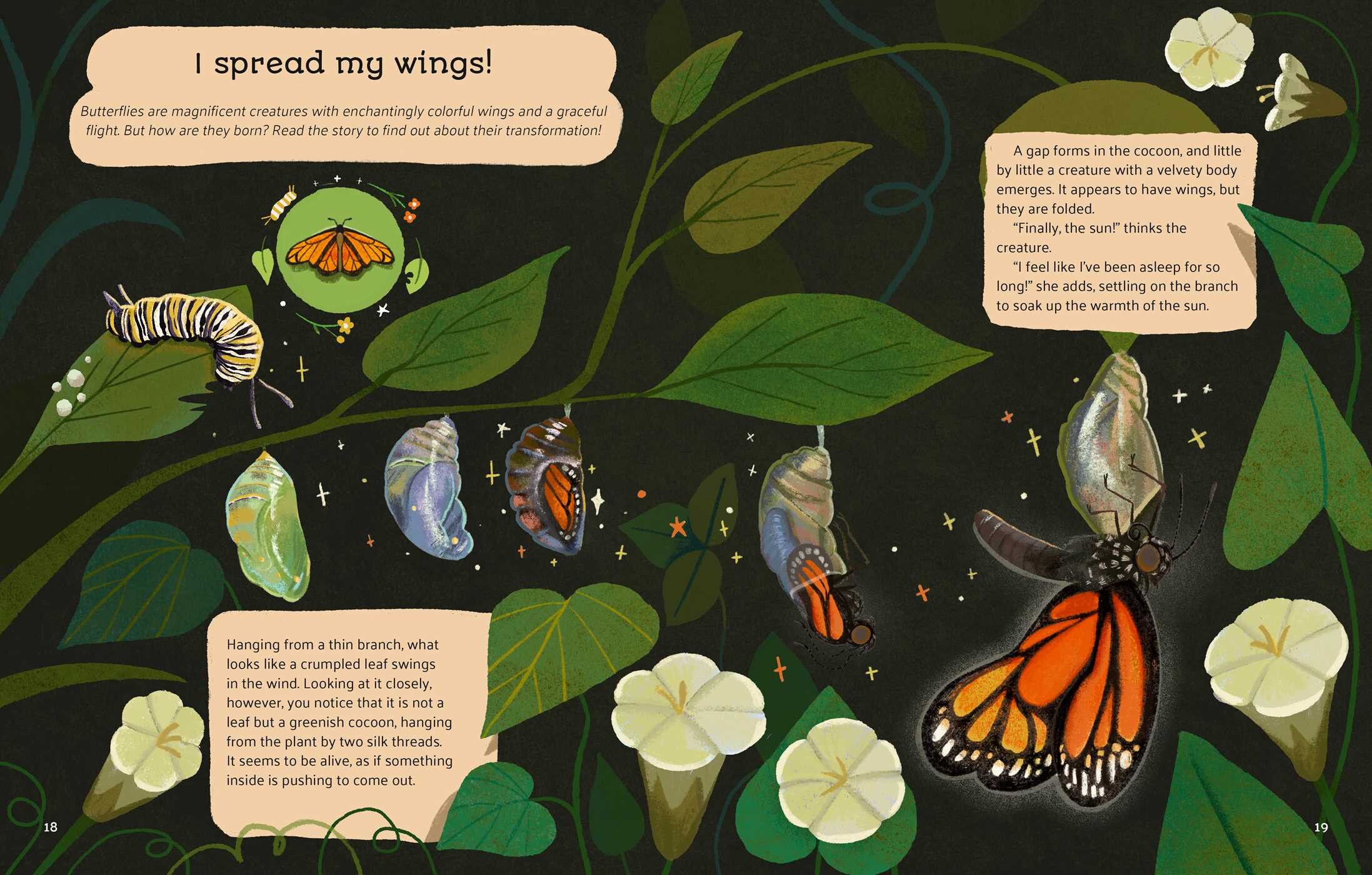 Little Stories from Nature