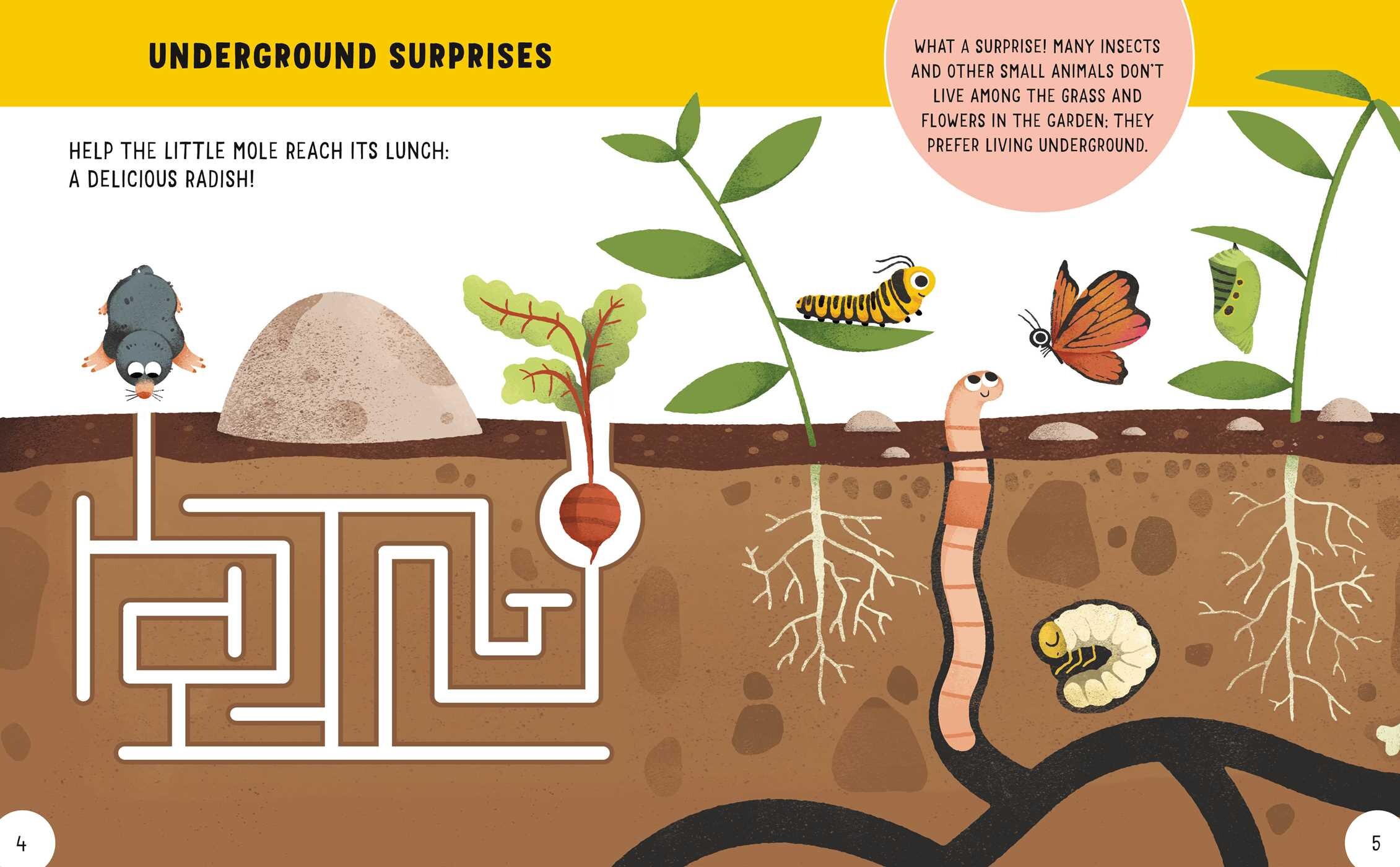 Fun + Facts: Animals