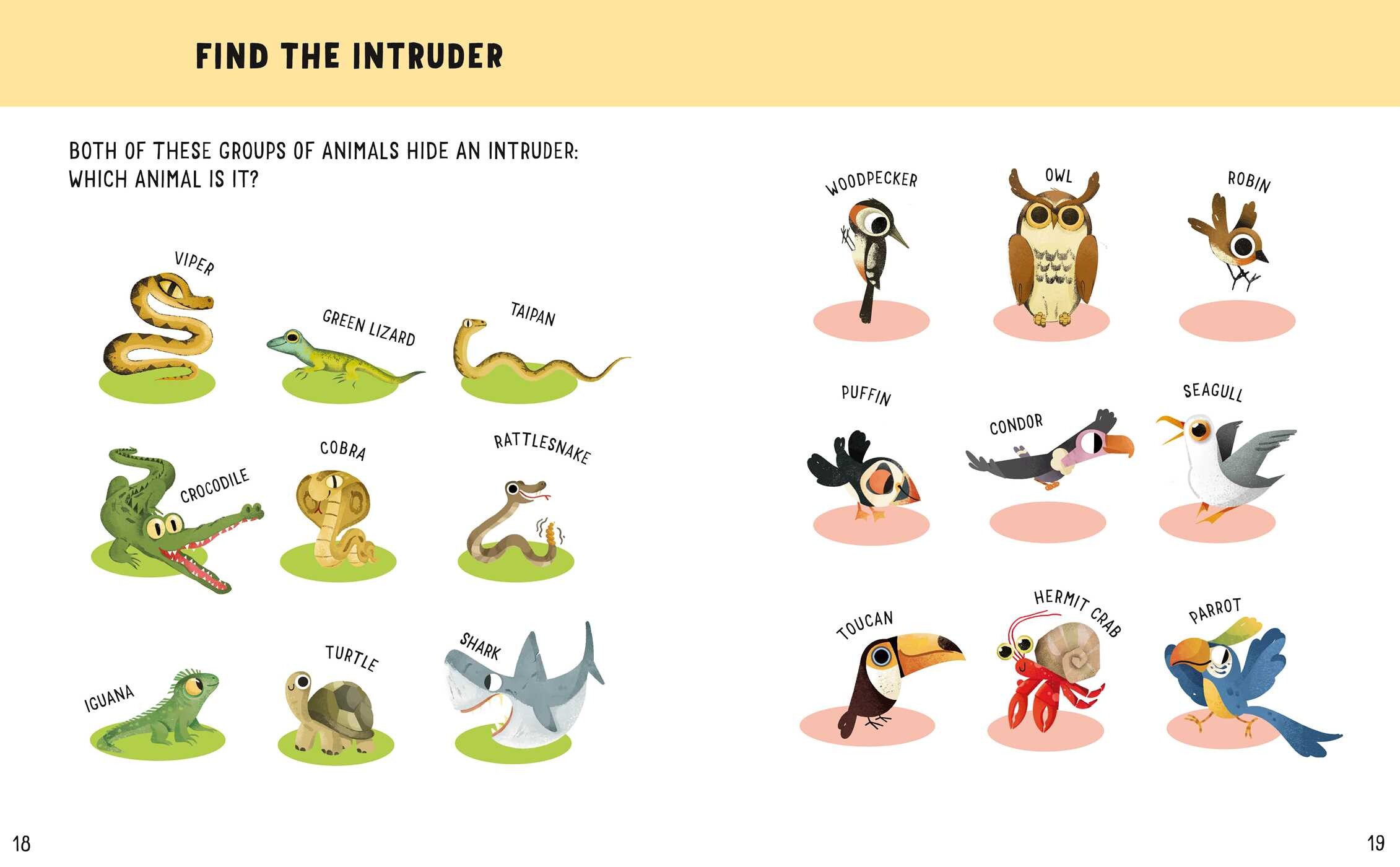 Fun + Facts: Animals