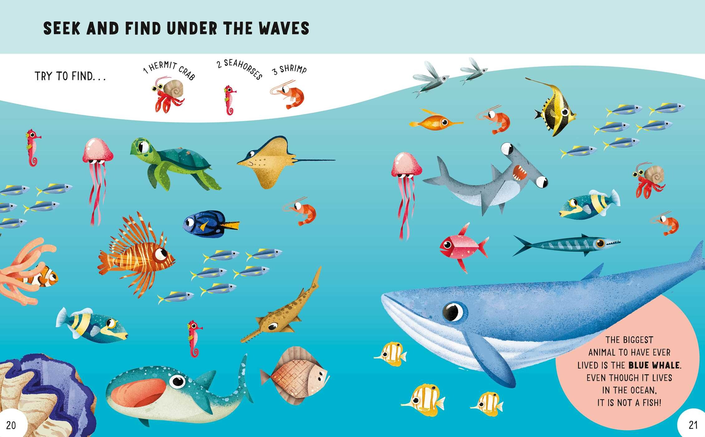 Fun + Facts: Animals