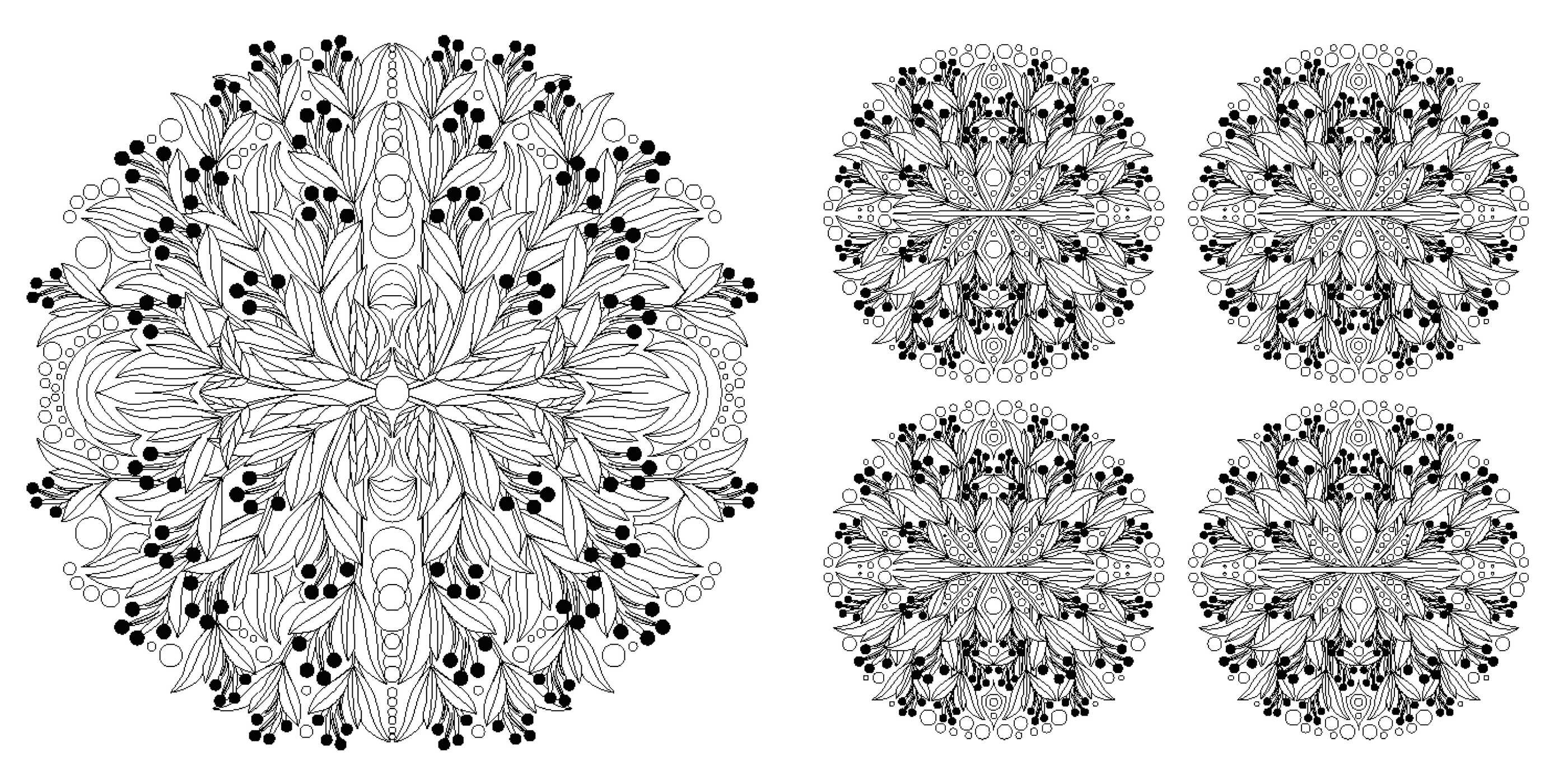 Floral Mandalas Coloring Book