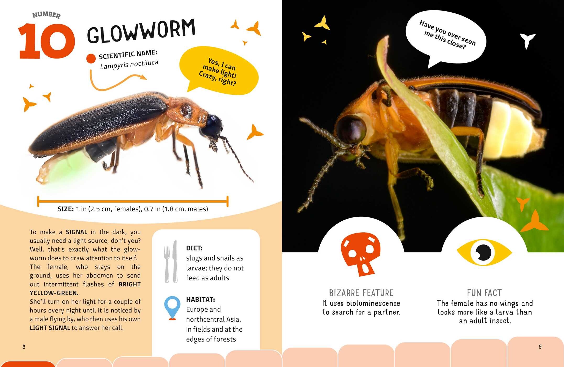 Weirdest Bugs