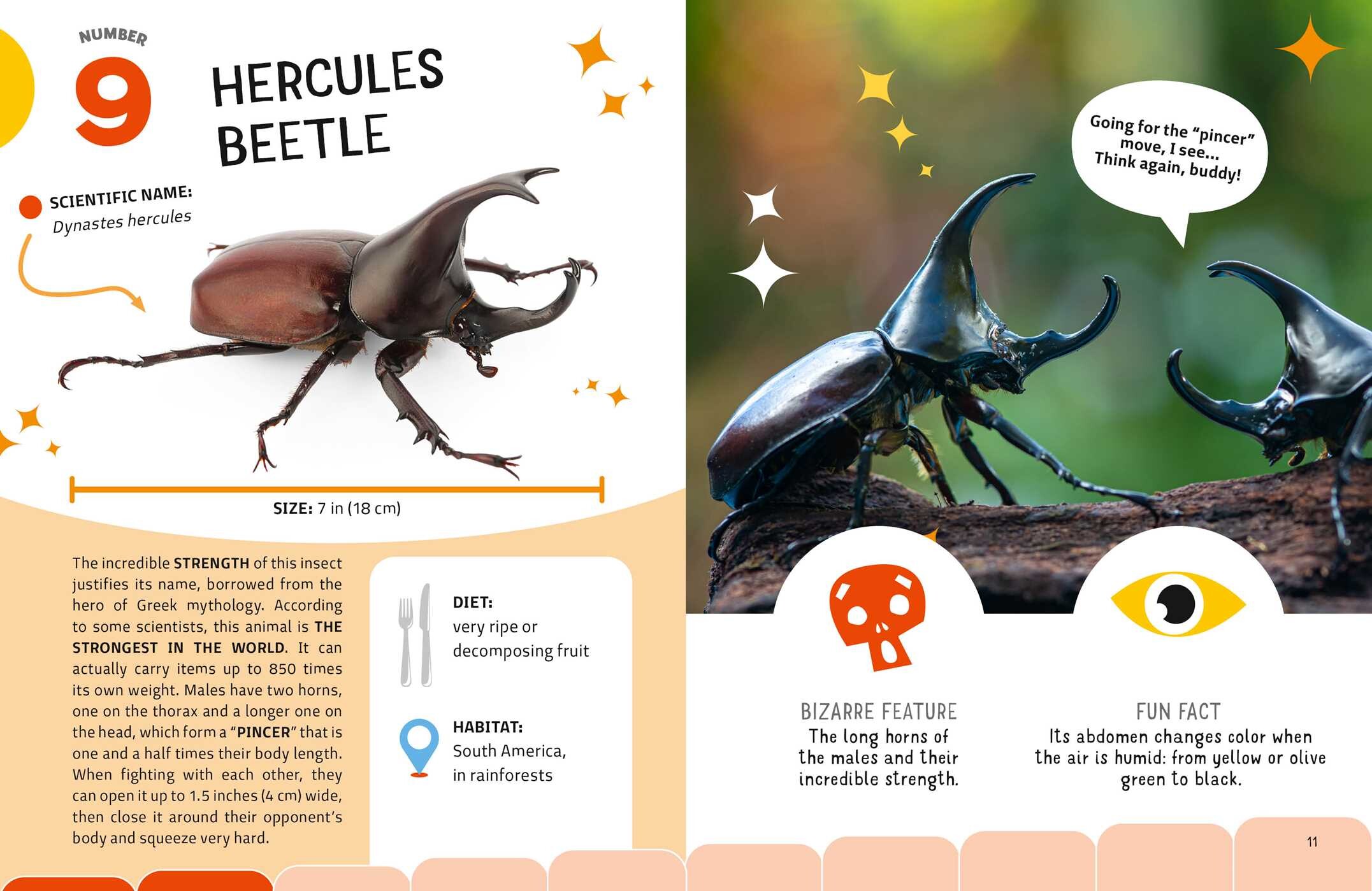 Weirdest Bugs