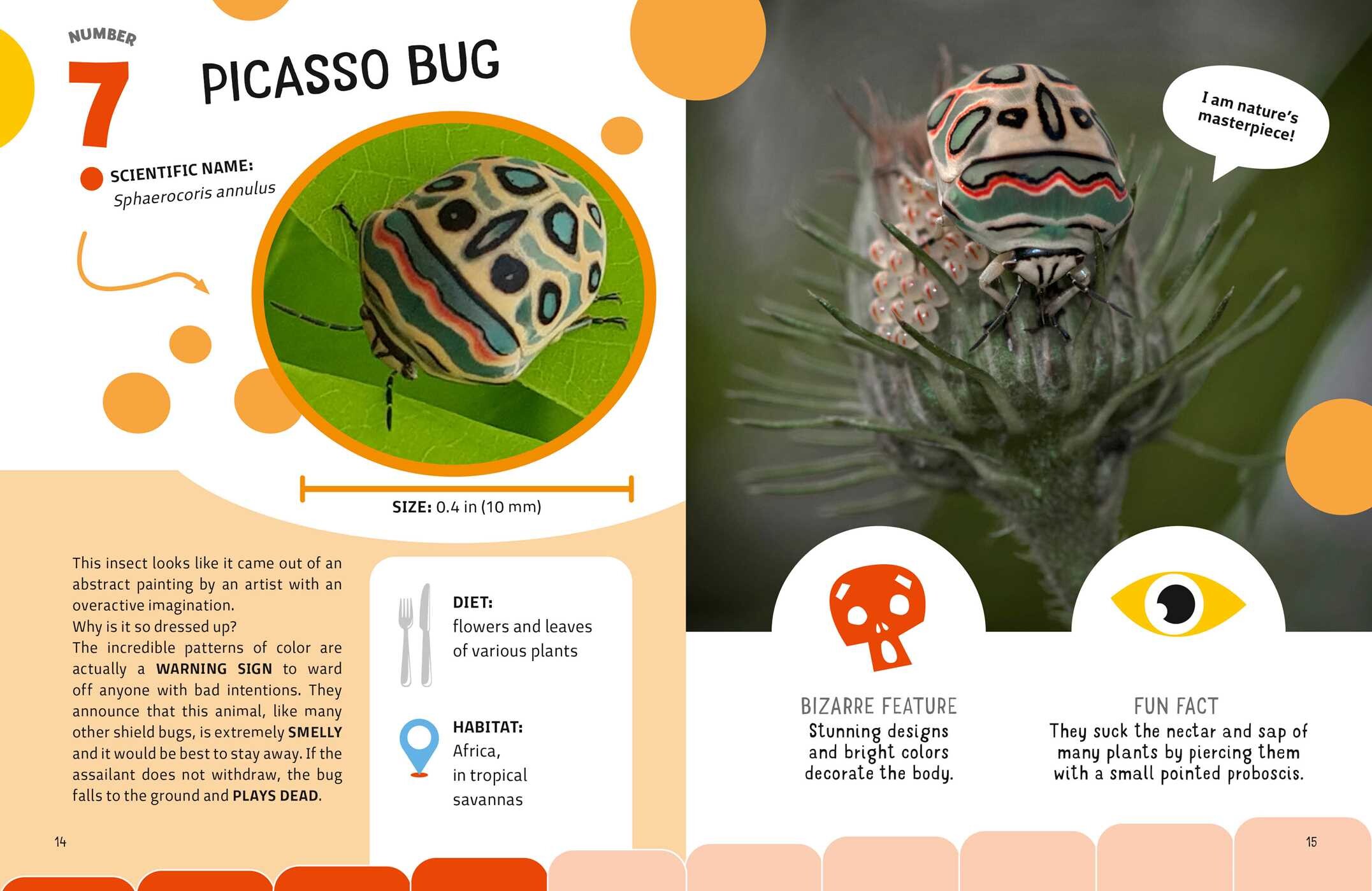 Weirdest Bugs