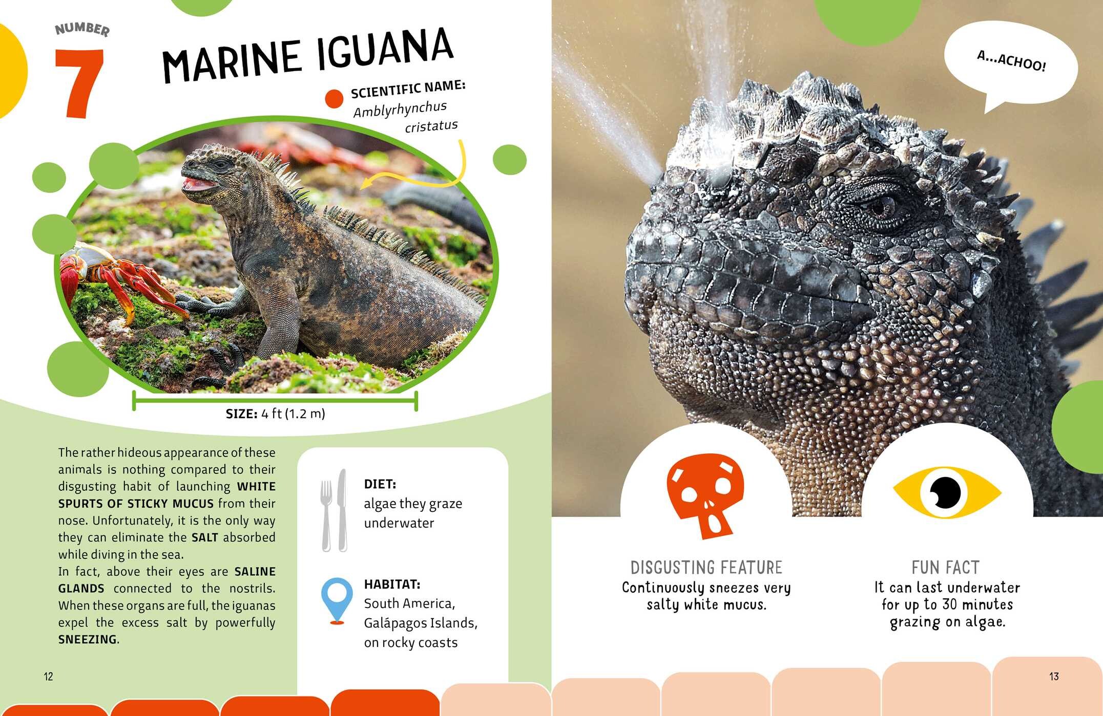 Grossest Animals