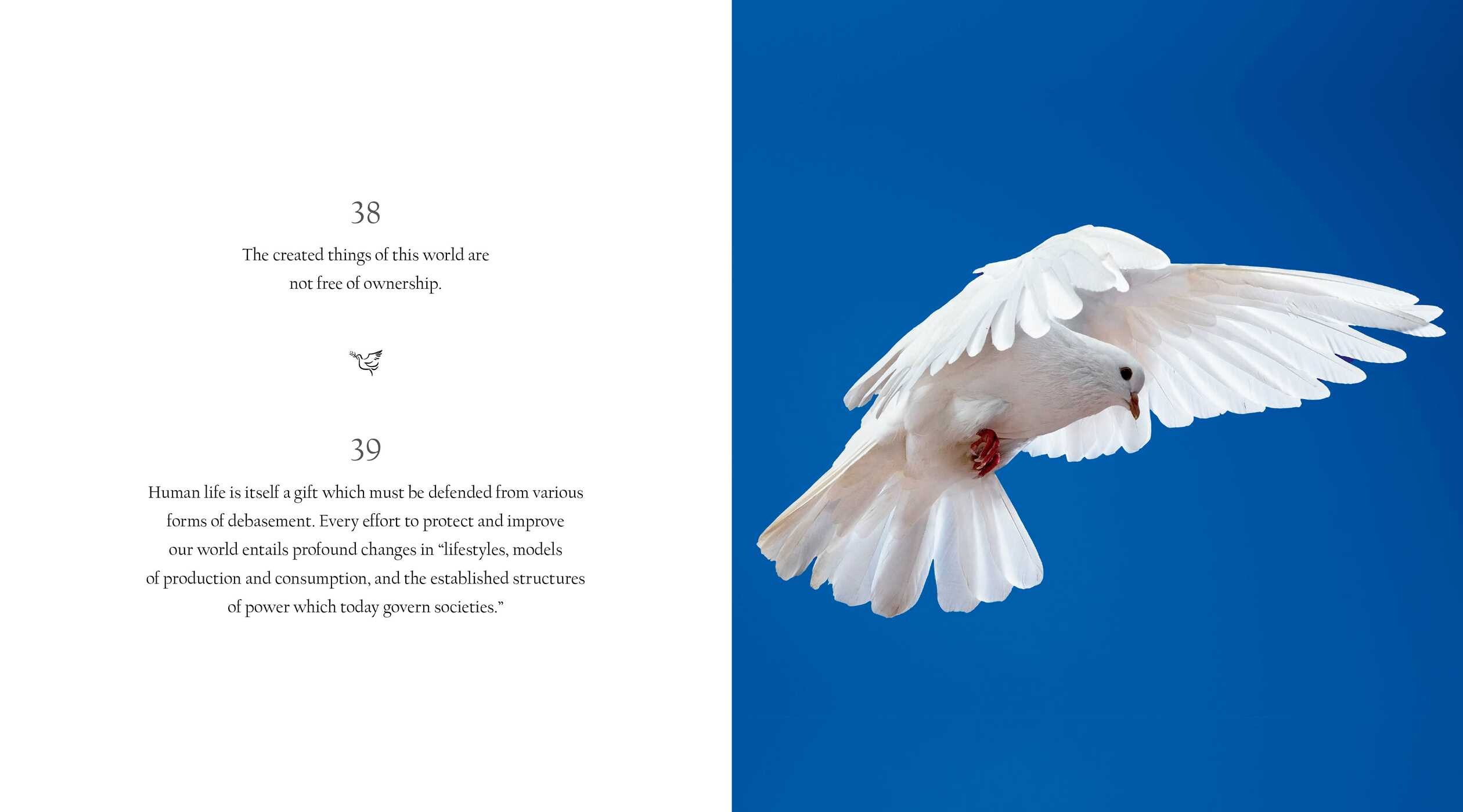 365 Inspirational Moments of Pope Francis