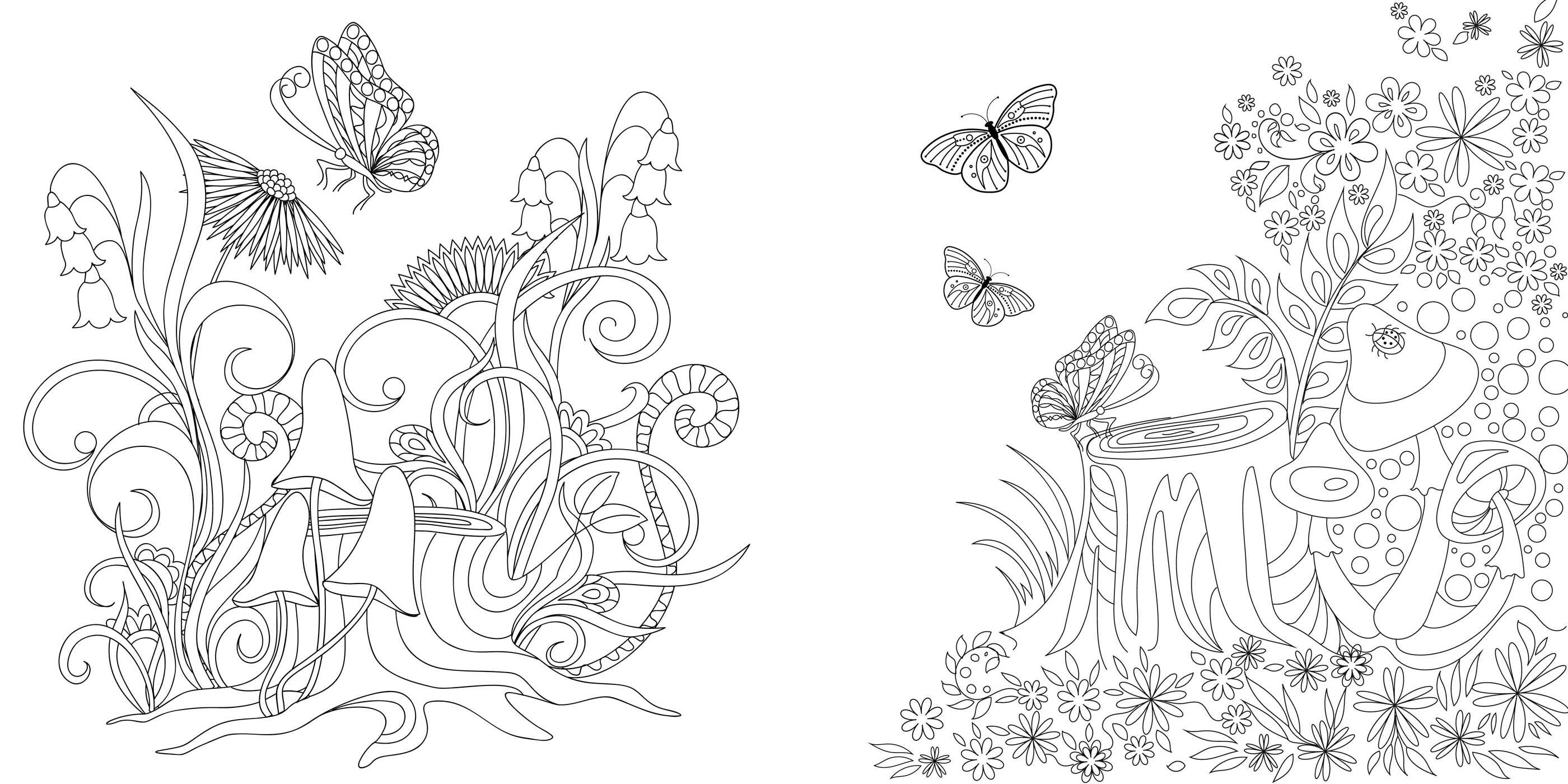 Magic Mushrooms Coloring Book