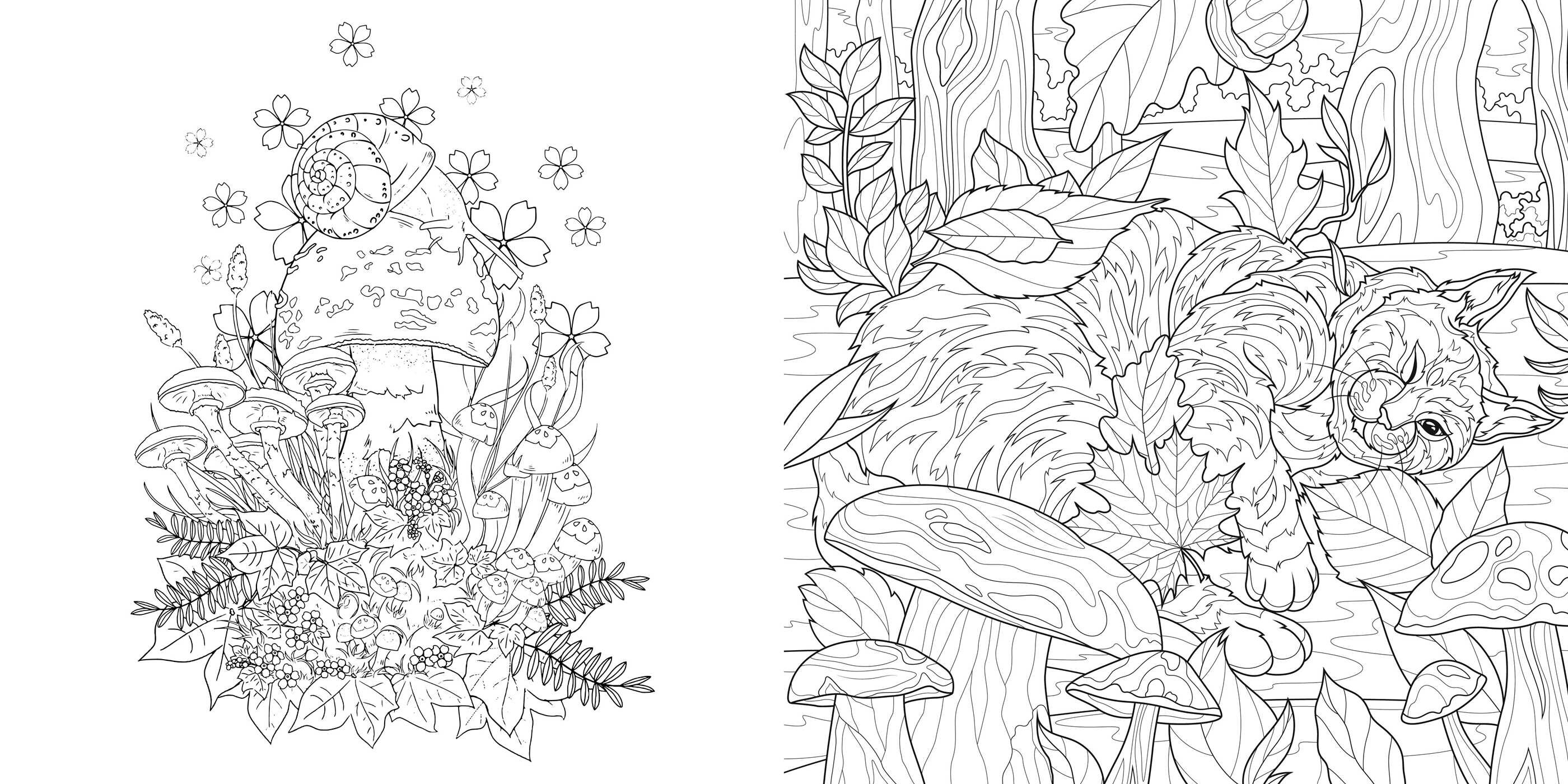 Magic Mushrooms Coloring Book