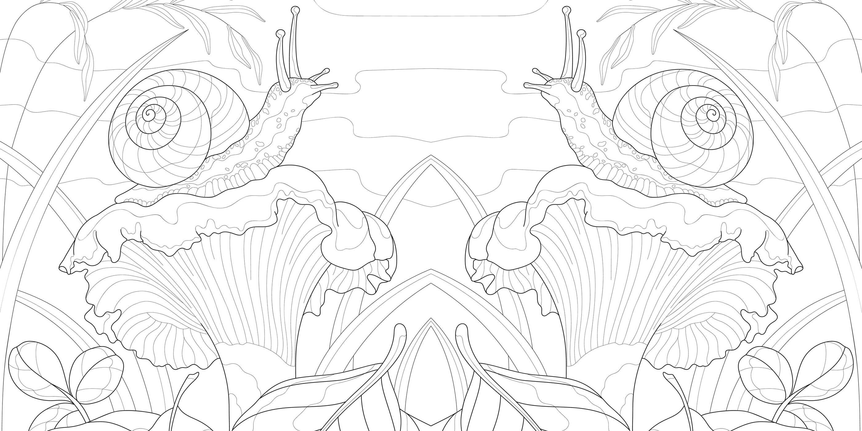 Magic Mushrooms Coloring Book