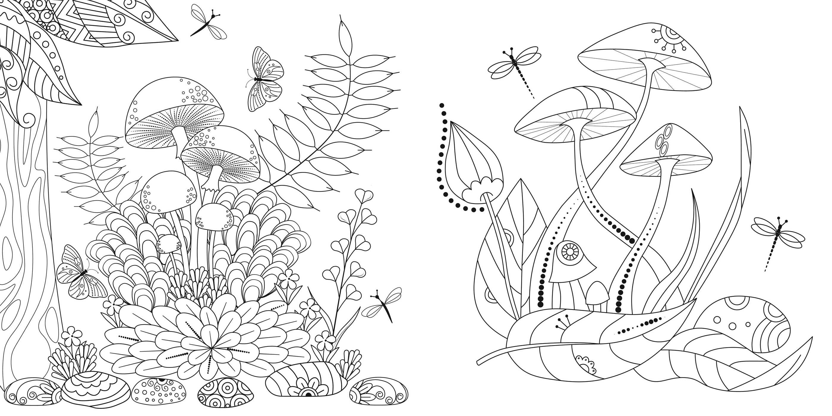 Magic Mushrooms Coloring Book