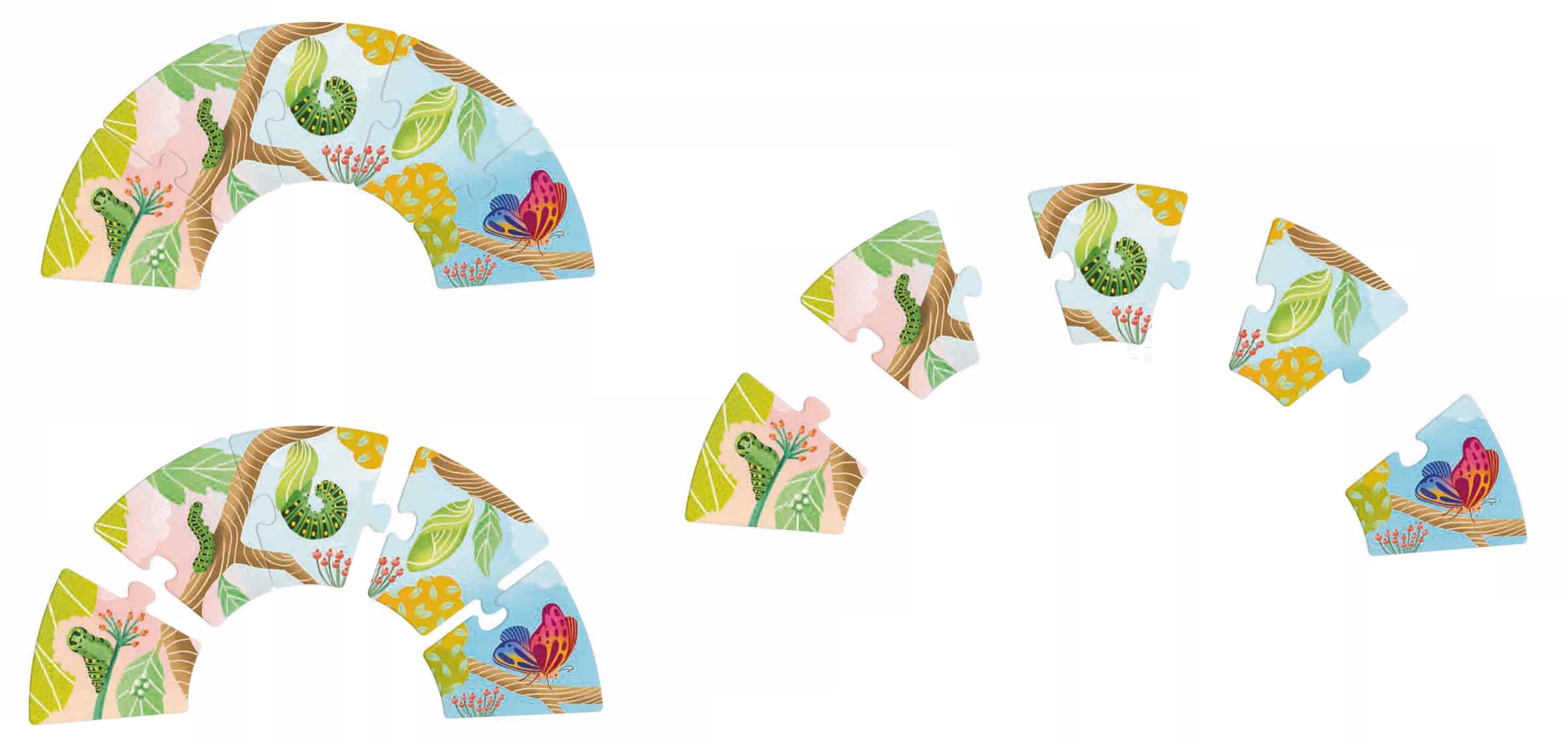 Grow-a-Puzzle. Becoming a Butterfly