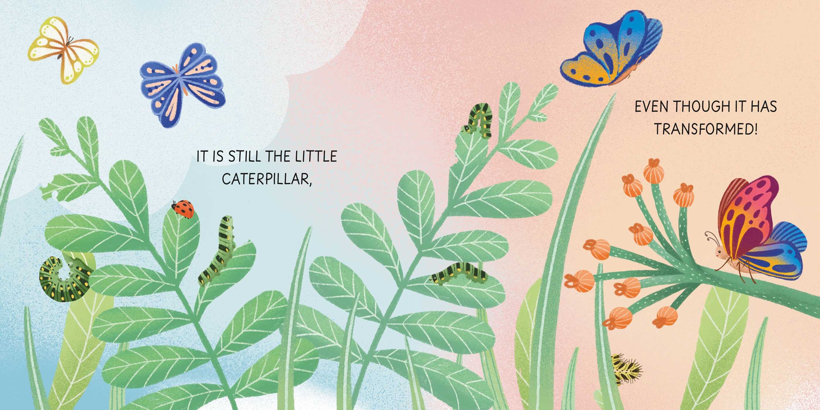 Grow-a-Puzzle. Becoming a Butterfly