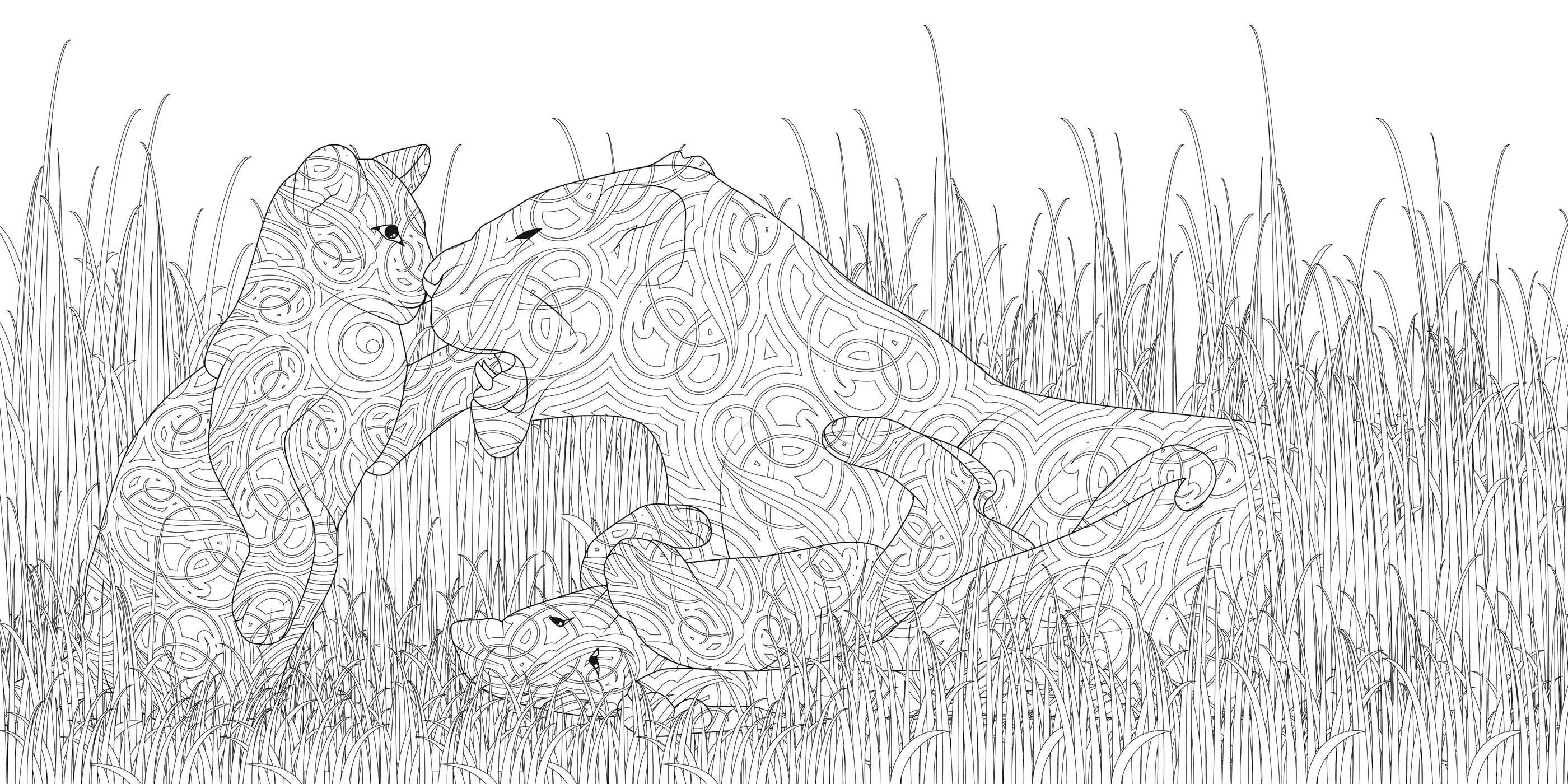 Night & Day Coloring Book