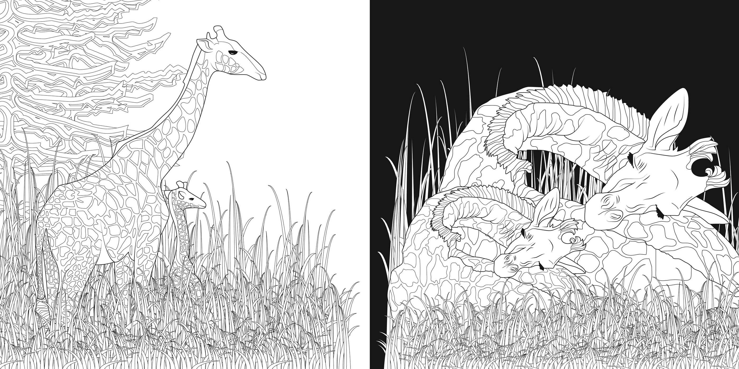 Night & Day Coloring Book