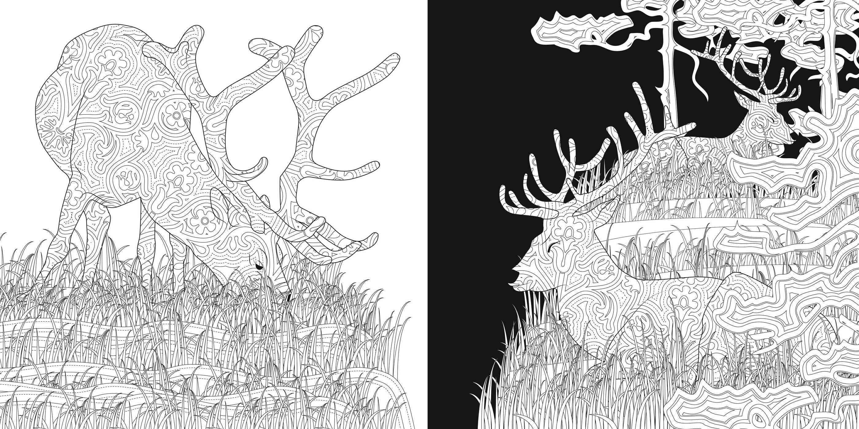 Night & Day Coloring Book