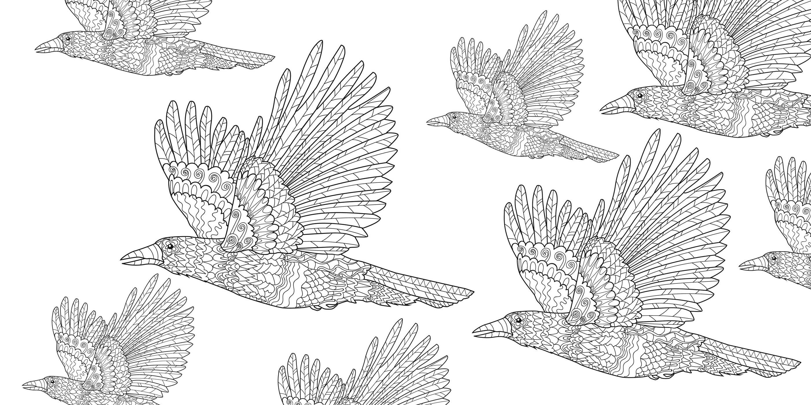 Women's Magic Coloring Book