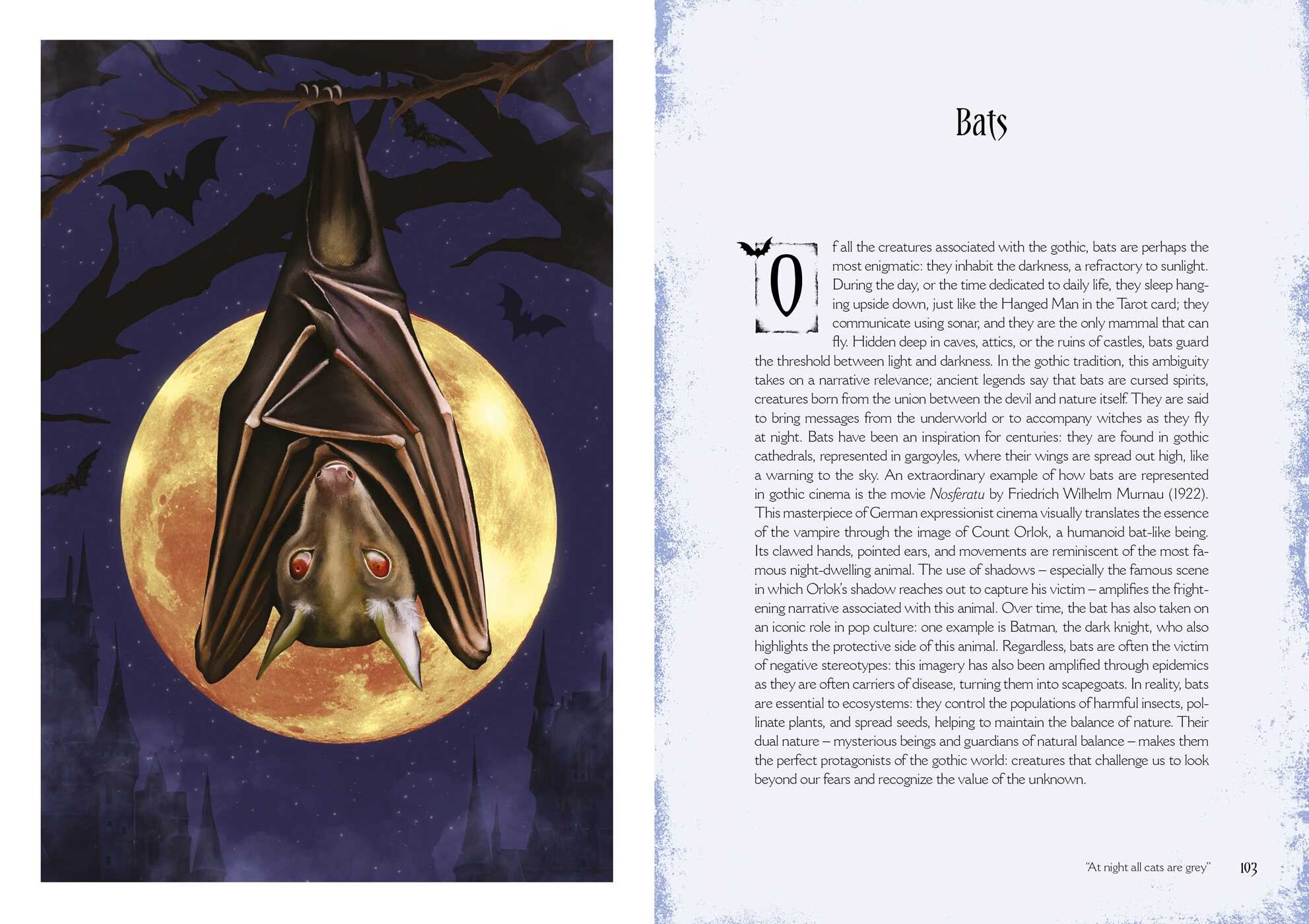 Gothic Witchcraft