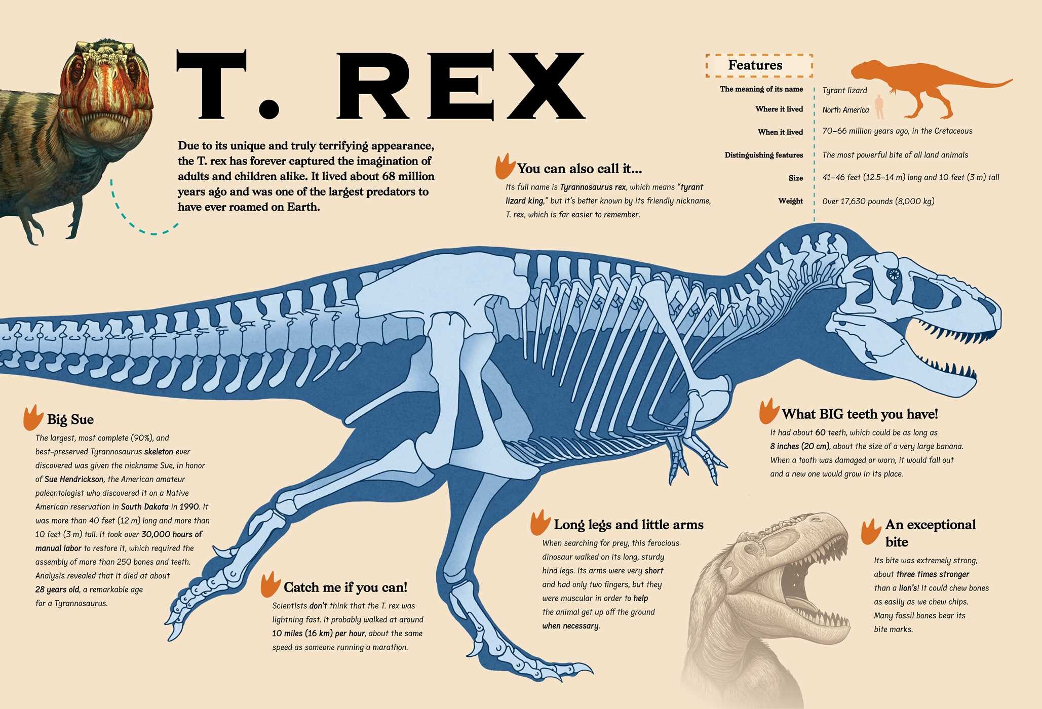 Shaped Puzzle Fun Roaring T. Rex